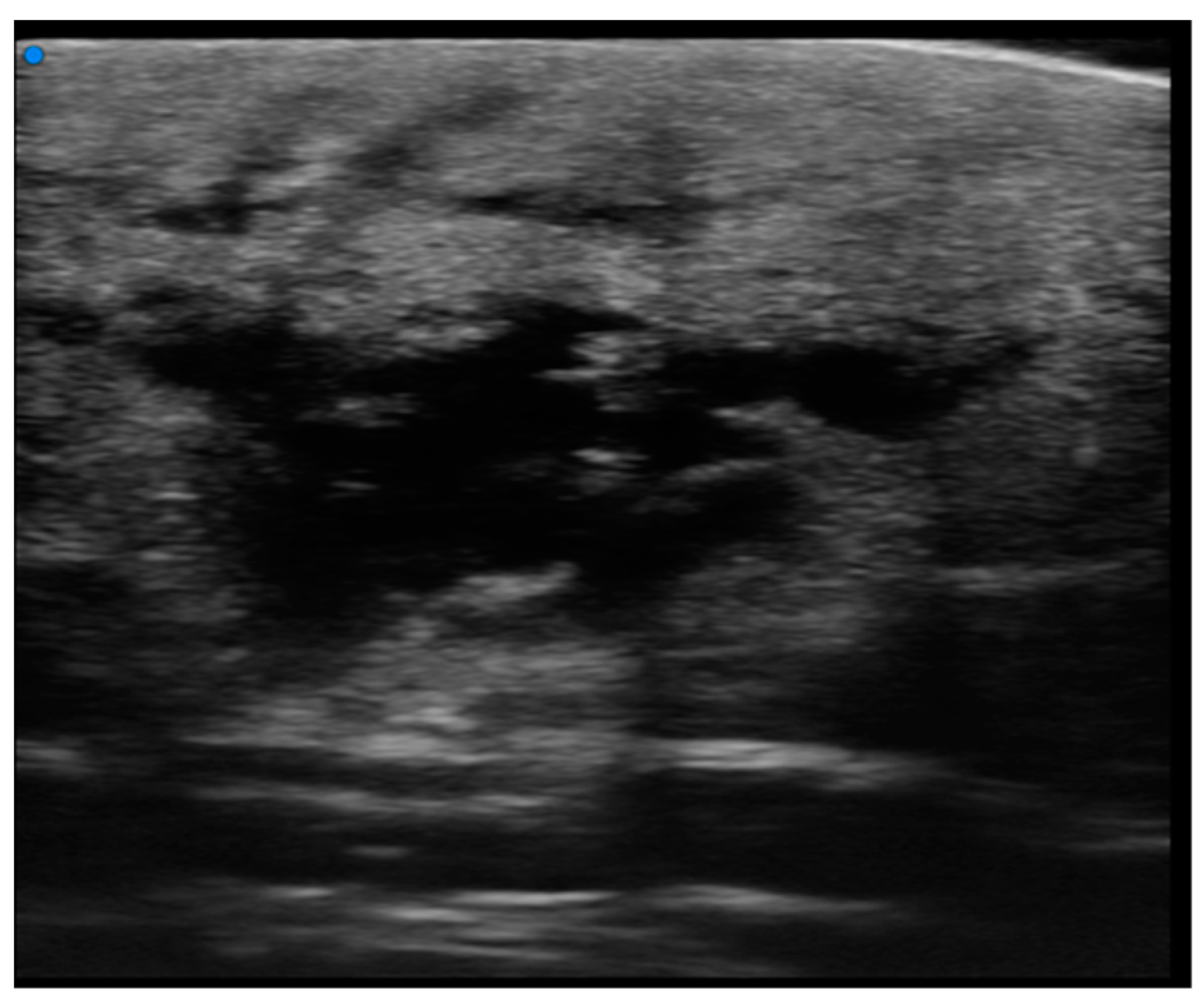 Cancers 16 02456 g007