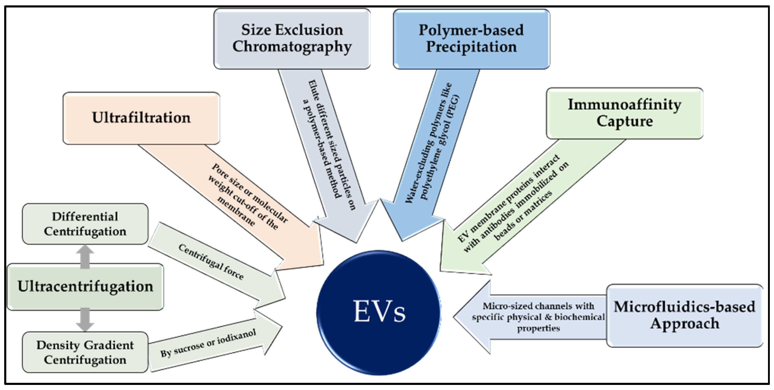 Cancers 16 02462 g001