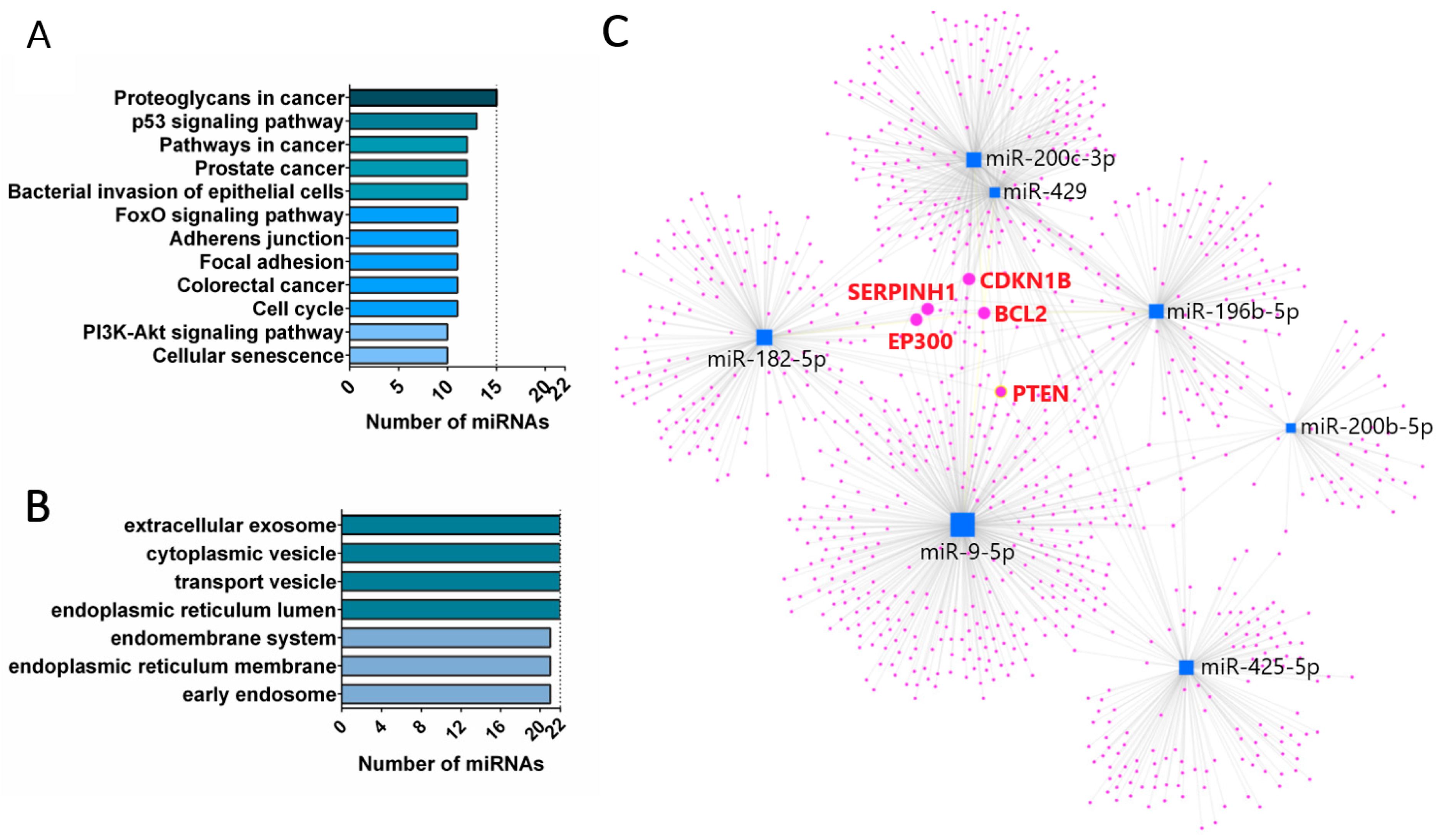 Cancers 16 02464 g004