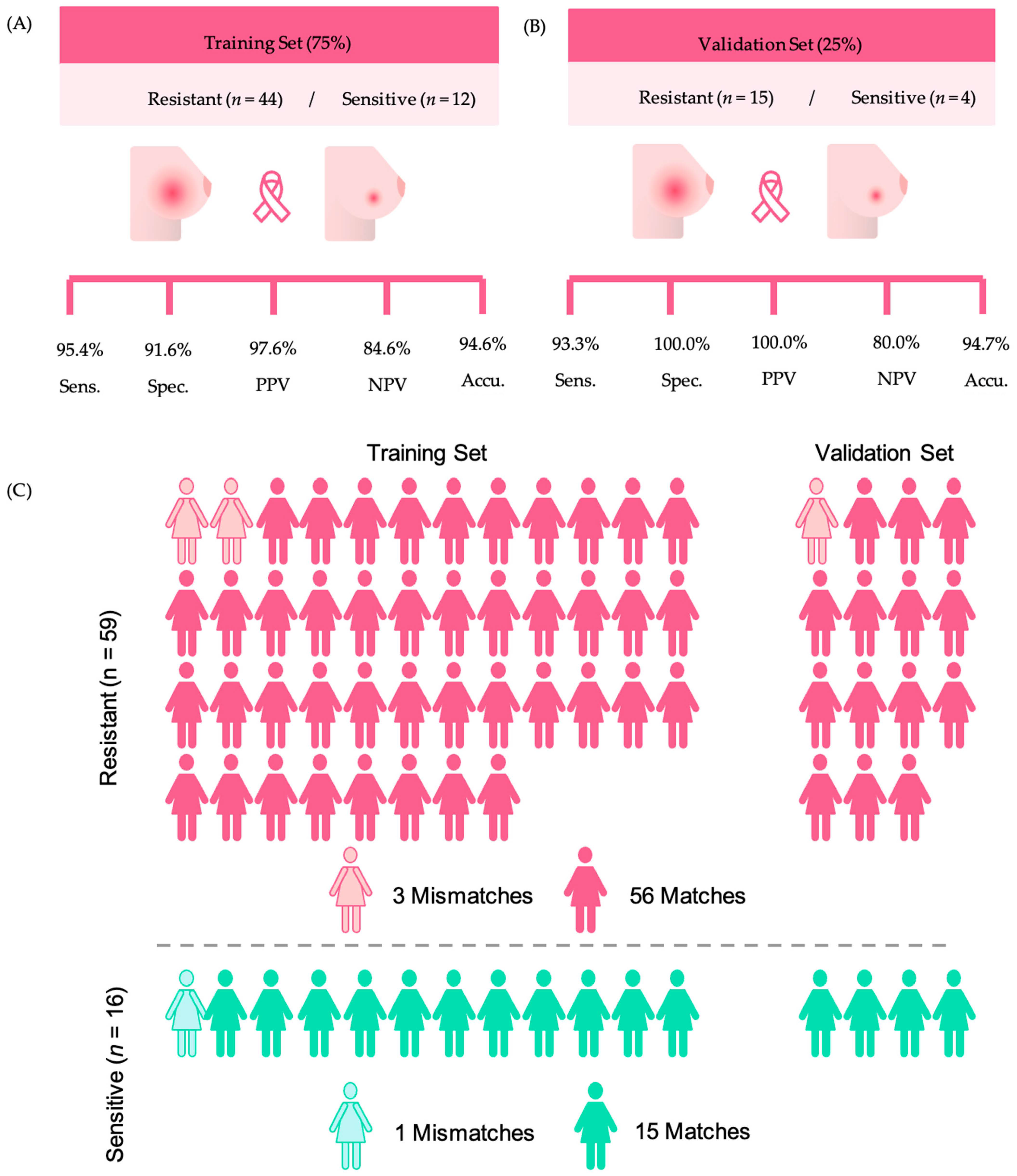 Cancers 16 02473 g002