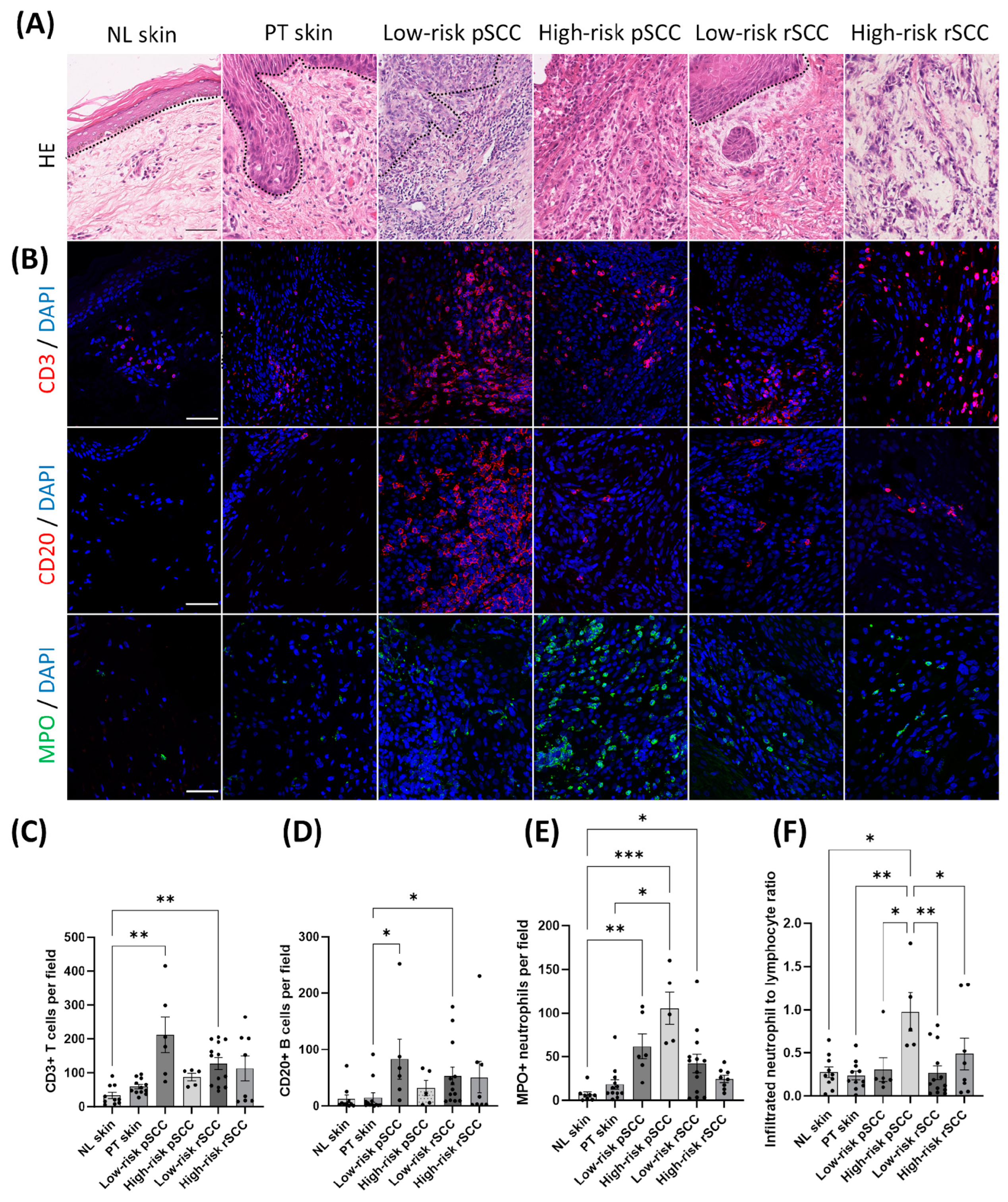 Cancers 16 02476 g003