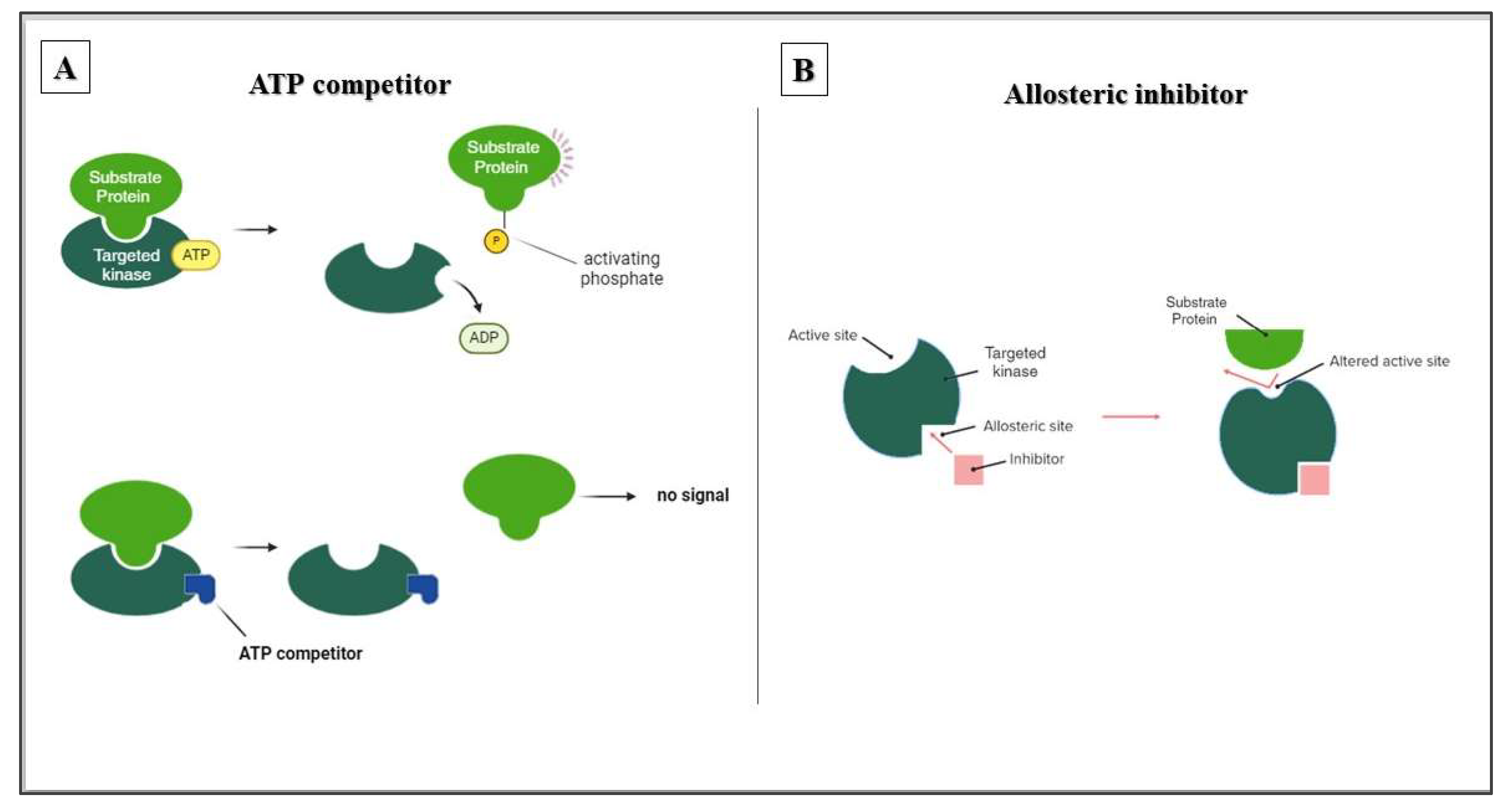 Cancers 16 02479 g003