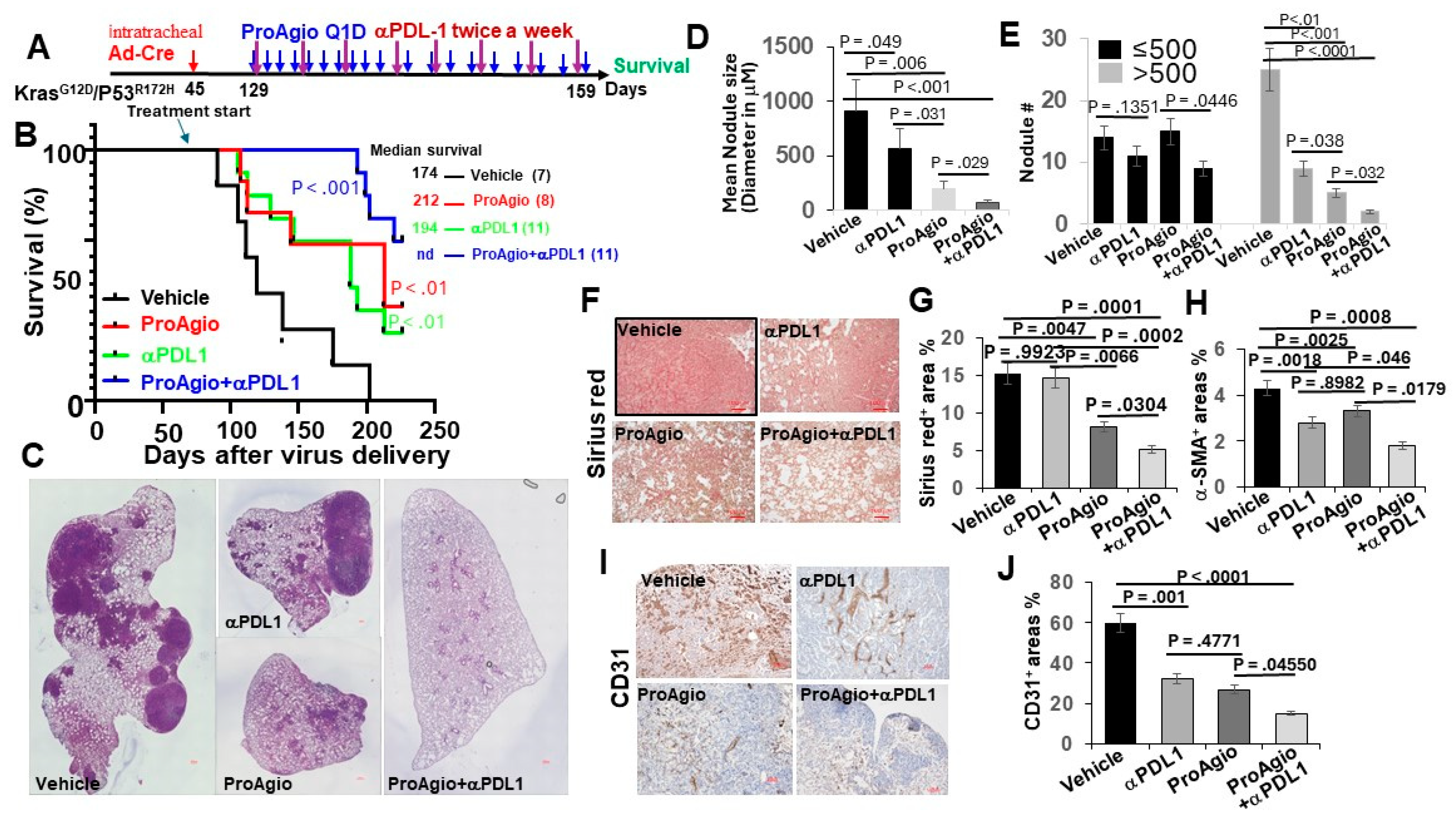 Cancers 16 02483 g003
