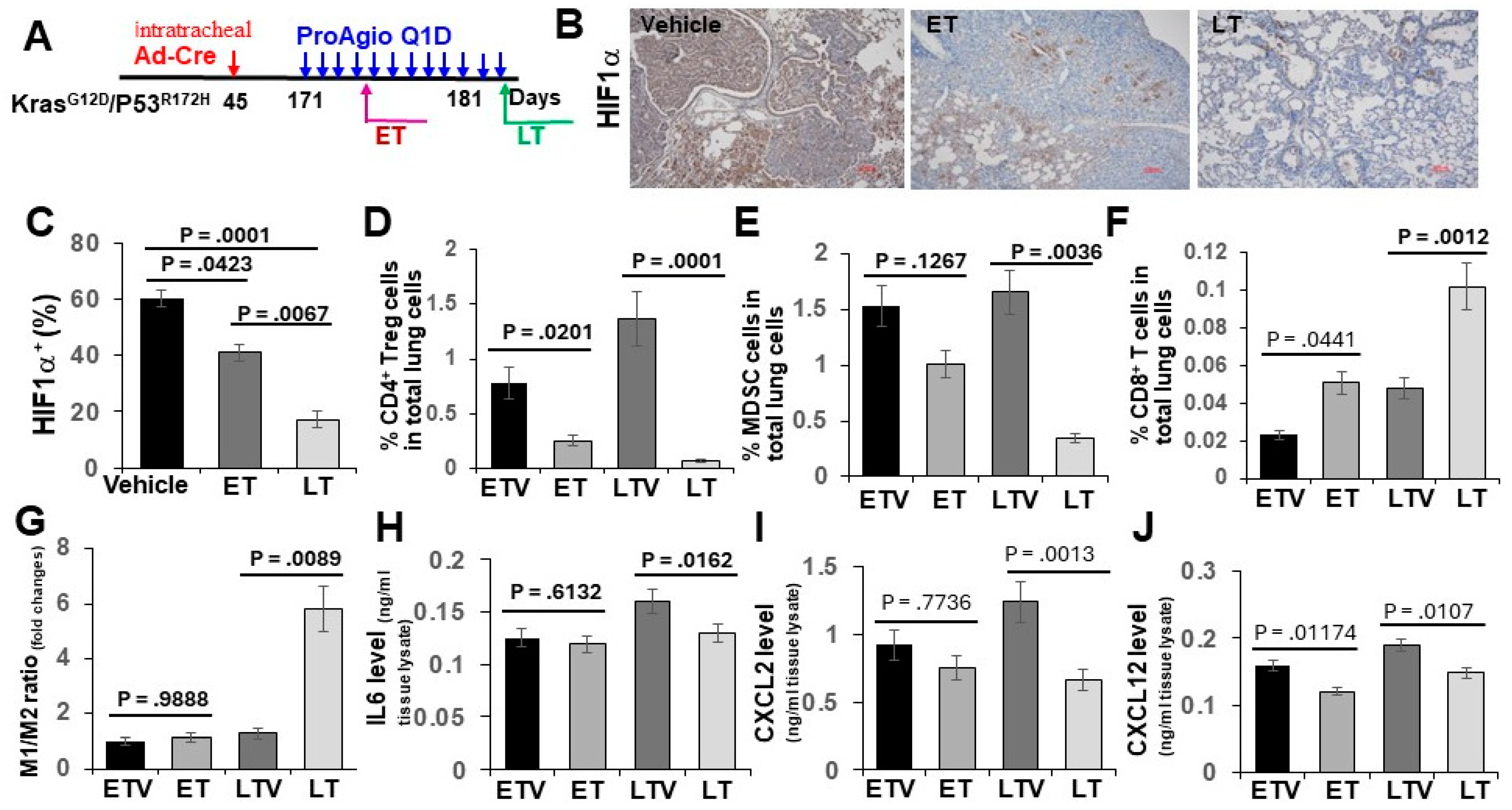 Cancers 16 02483 g004