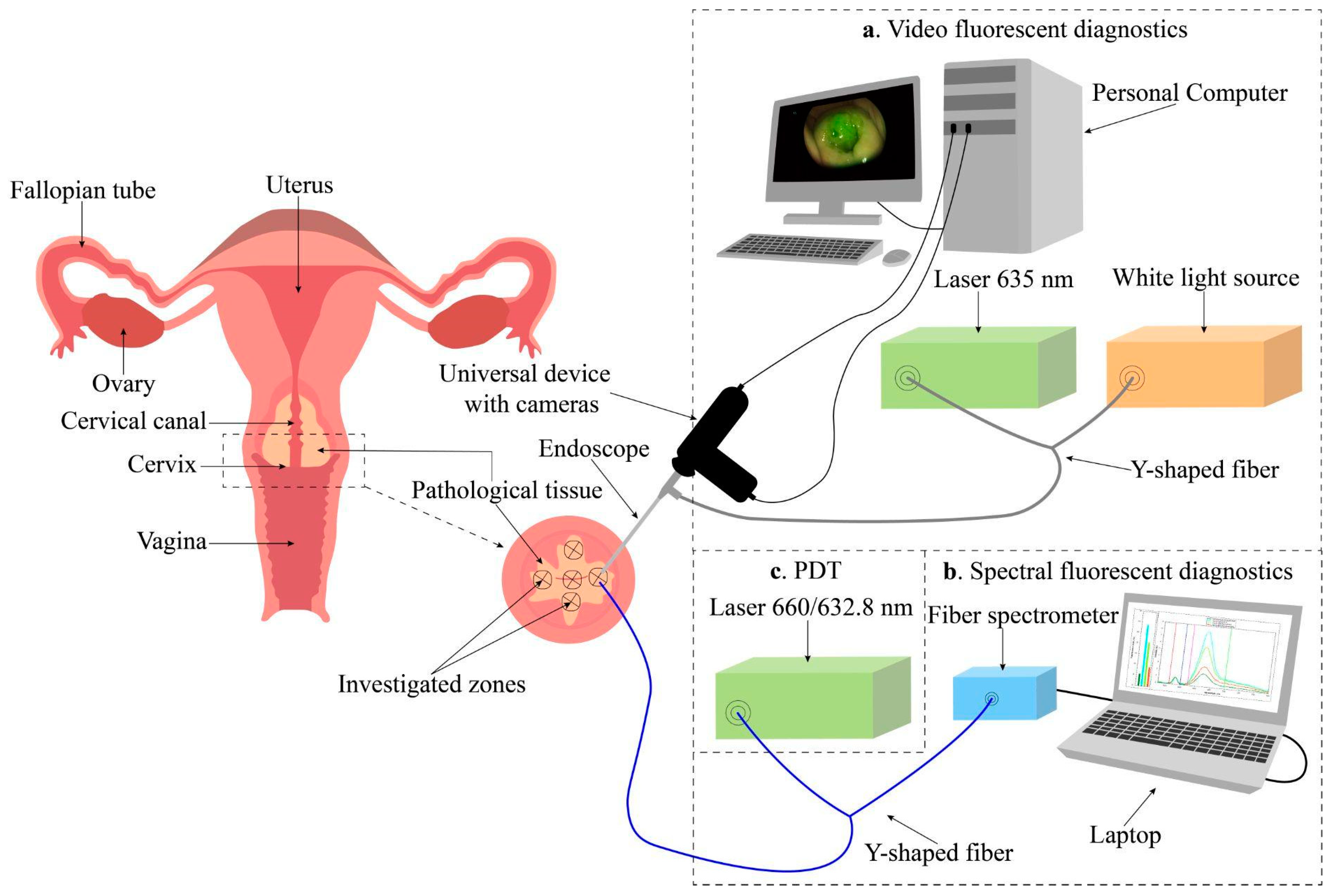 Cancers 16 02484 g002 Cancers 16 02484 g002