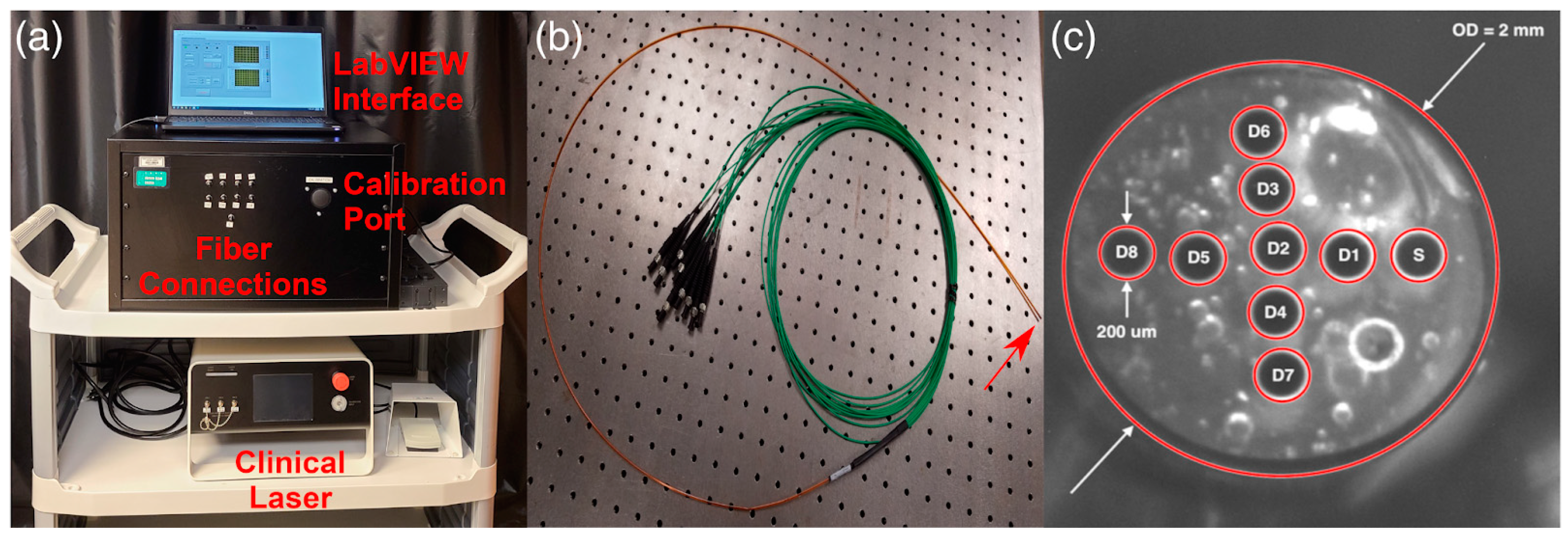 Cancers 16 02484 g006 Cancers 16 02484 g006