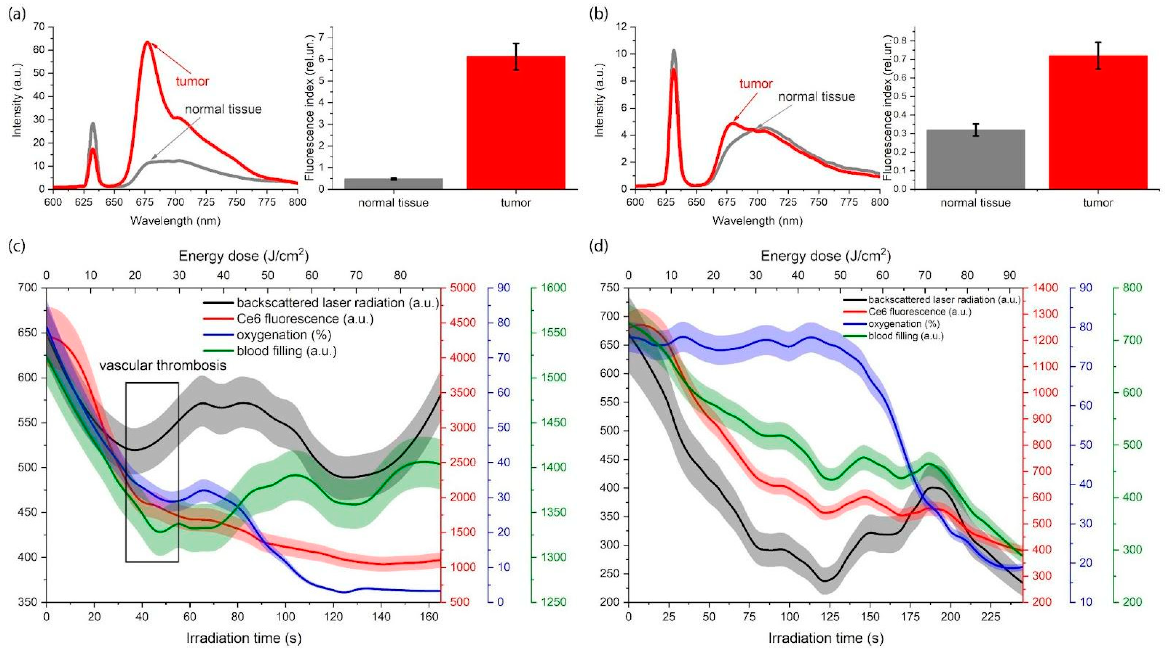 Cancers 16 02484 g007 Cancers 16 02484 g007