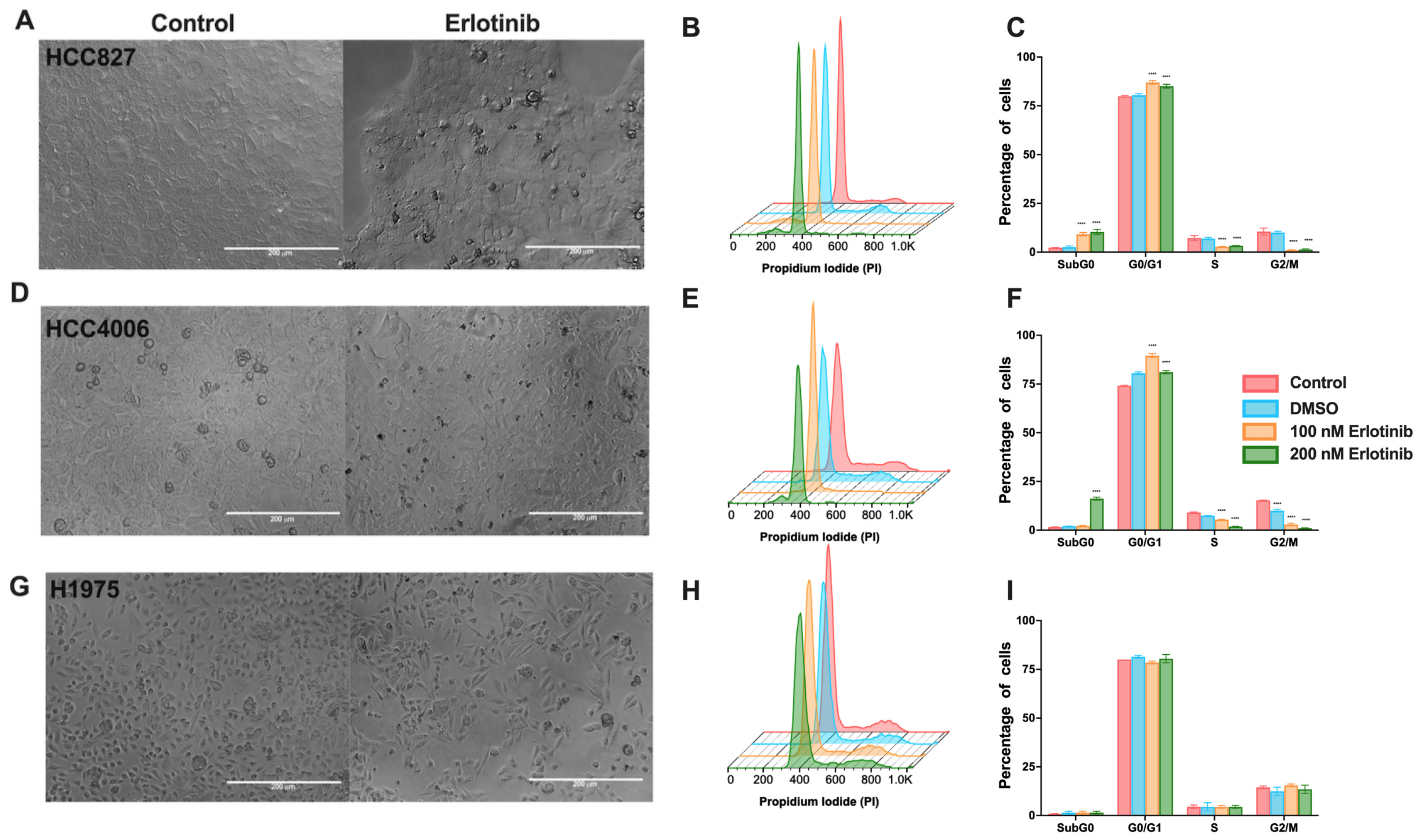 Cancers 16 02490 g001