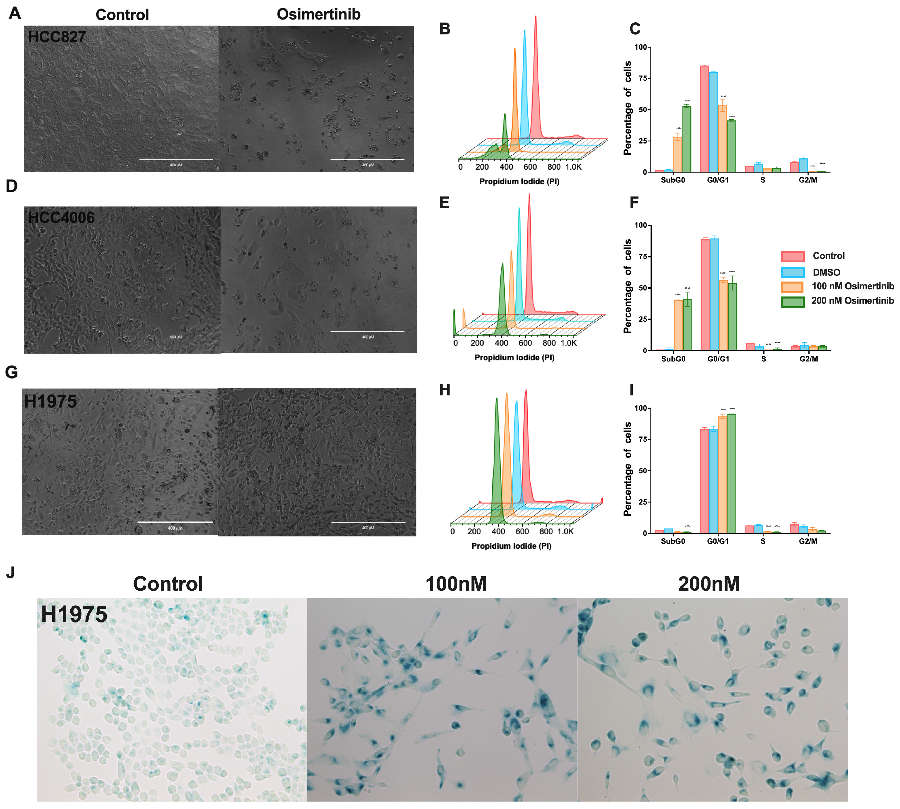 Cancers 16 02490 g002