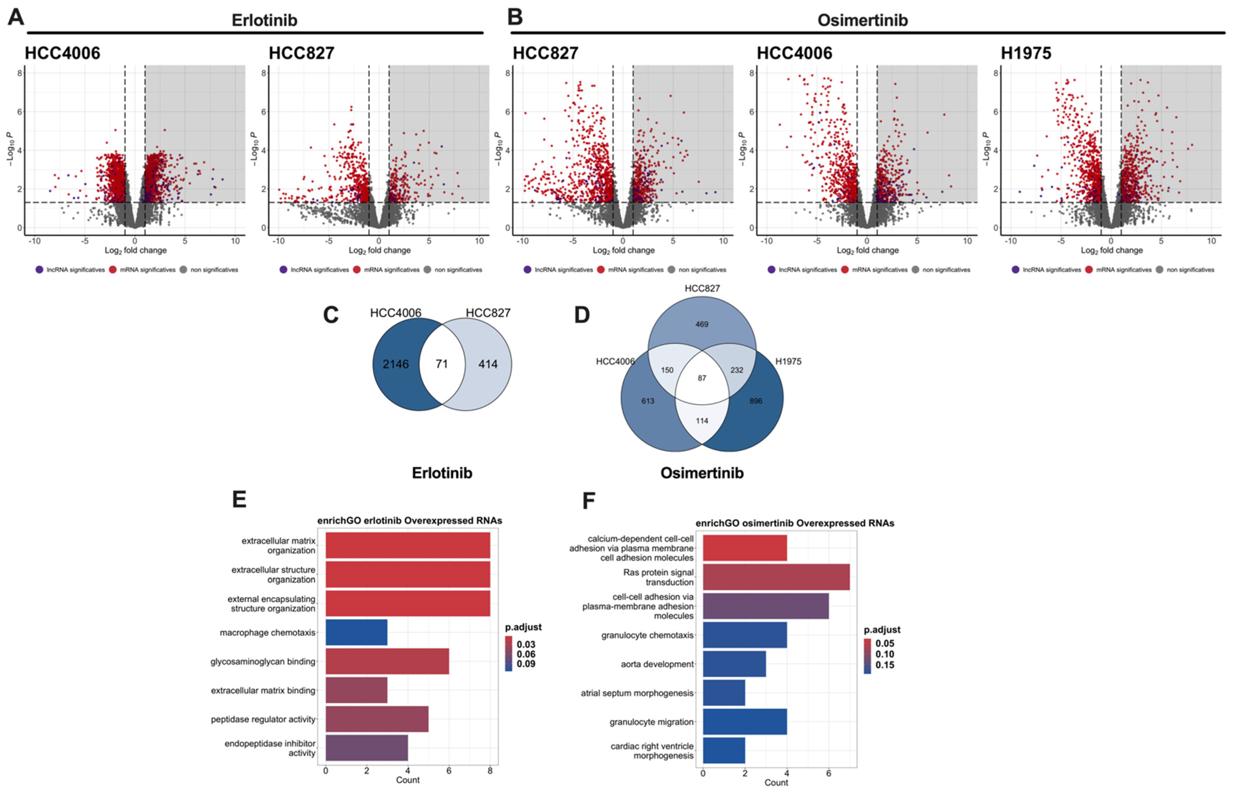 Cancers 16 02490 g003