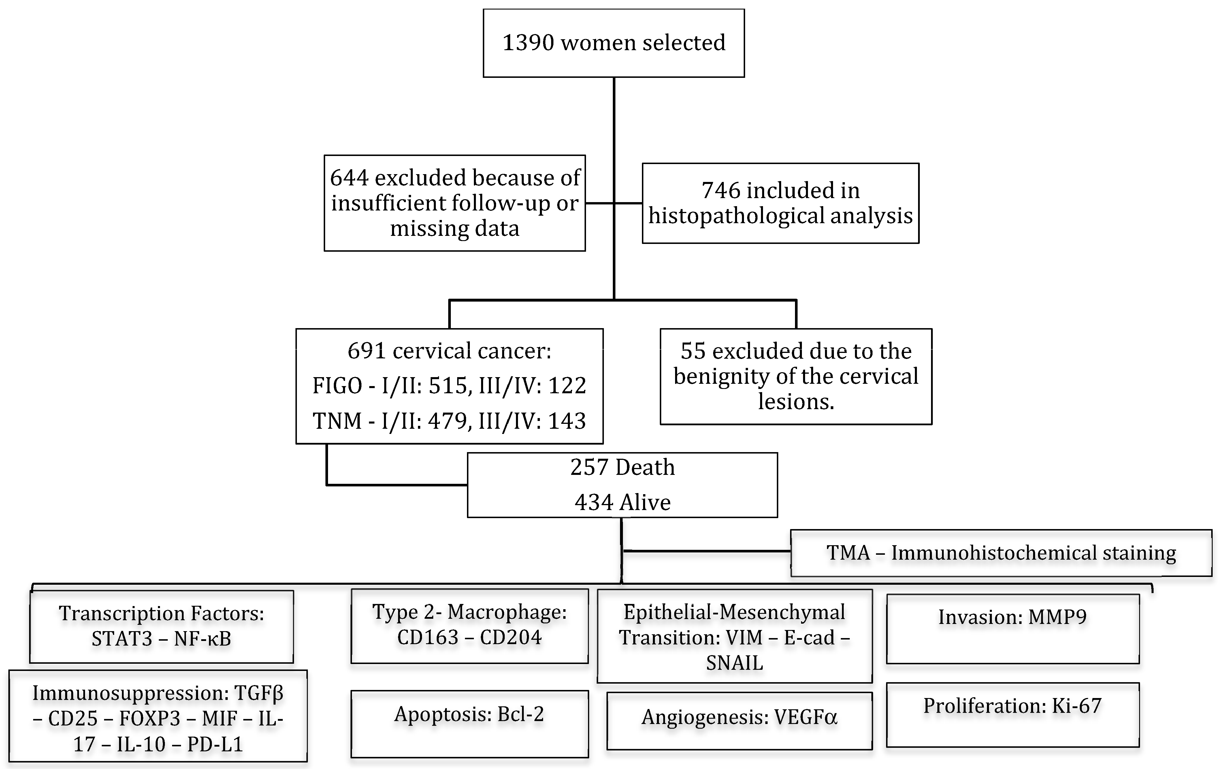 Cancers 16 02496 g001 Cancers 16 02496 g001