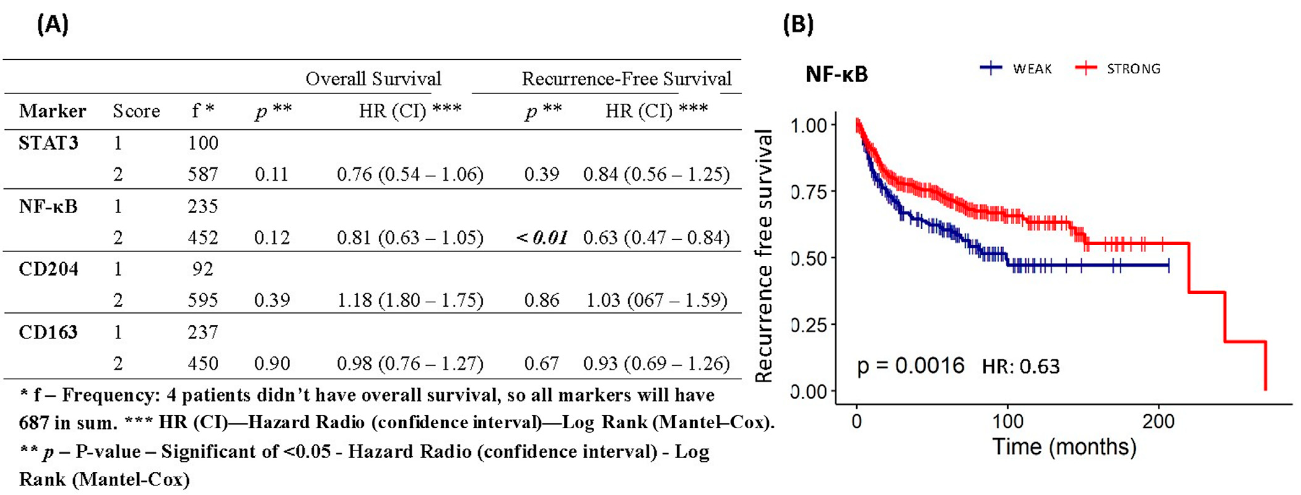 Cancers 16 02496 g005 Cancers 16 02496 g005