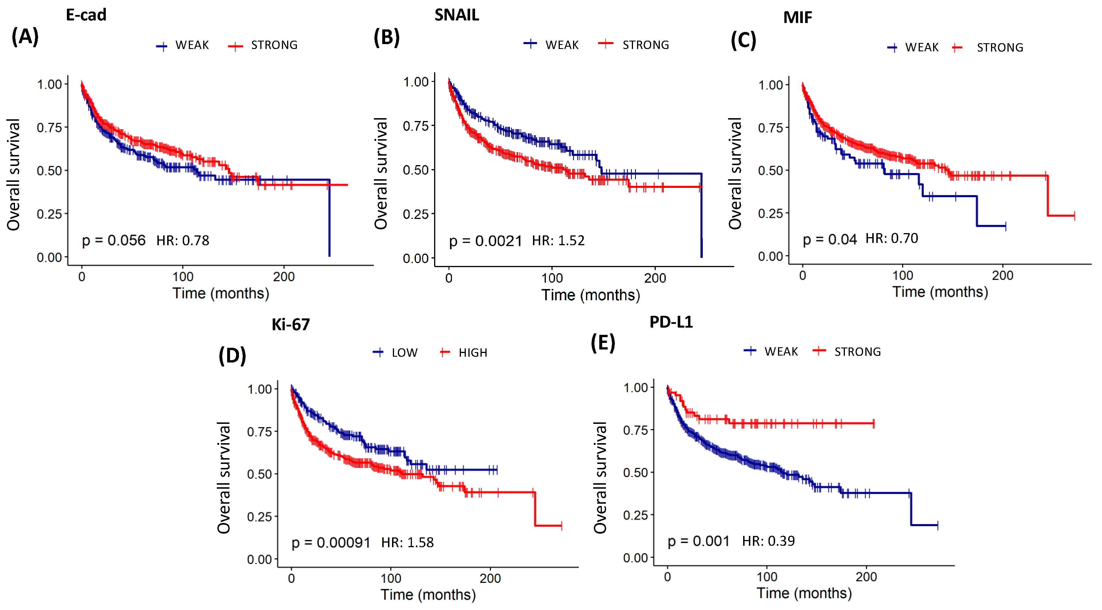 Cancers 16 02496 g006 Cancers 16 02496 g006