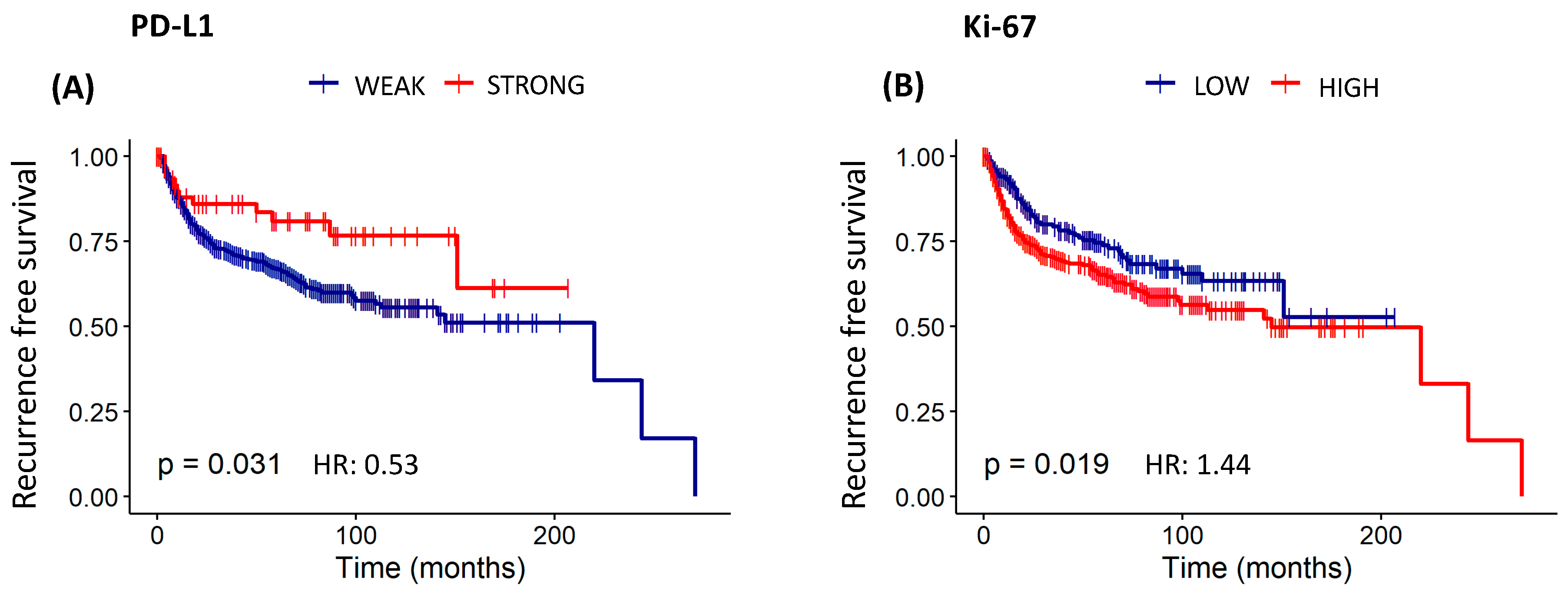 Cancers 16 02496 g007 Cancers 16 02496 g007