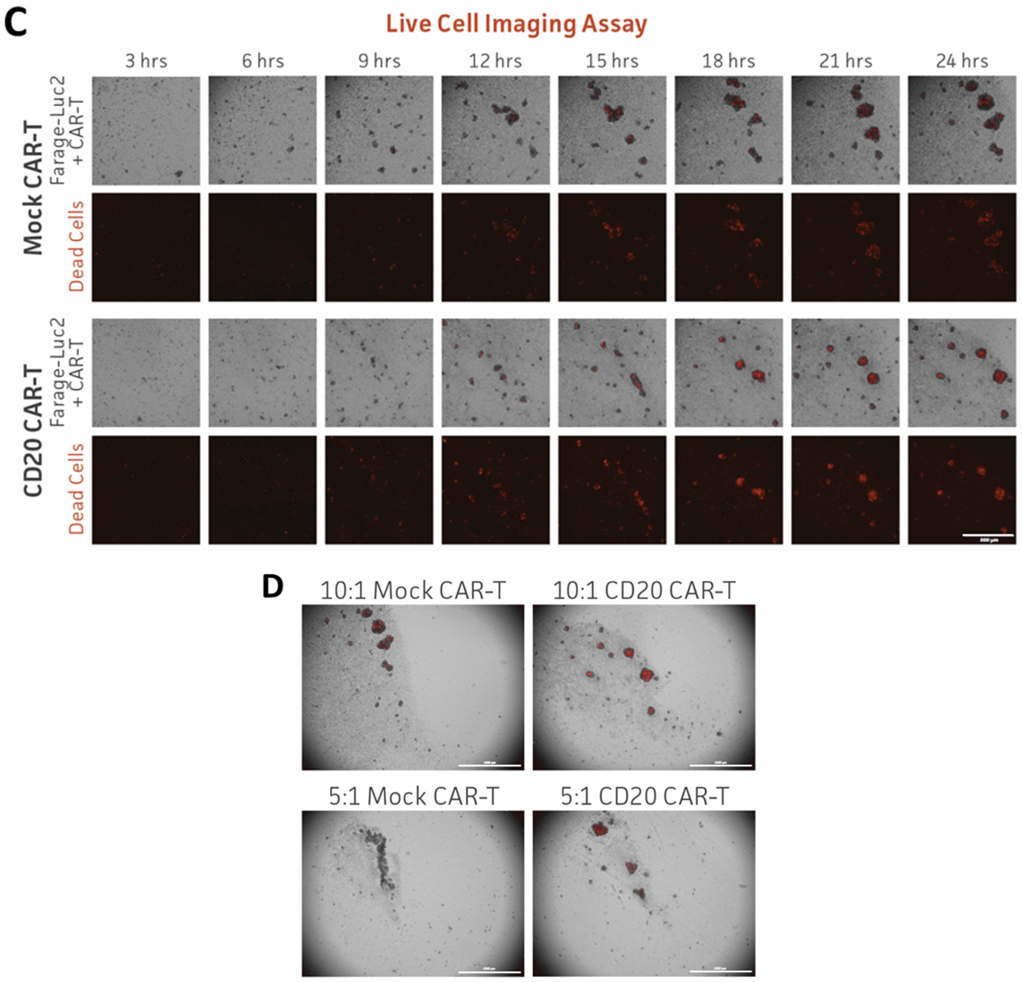 Cancers 16 02497 g005b