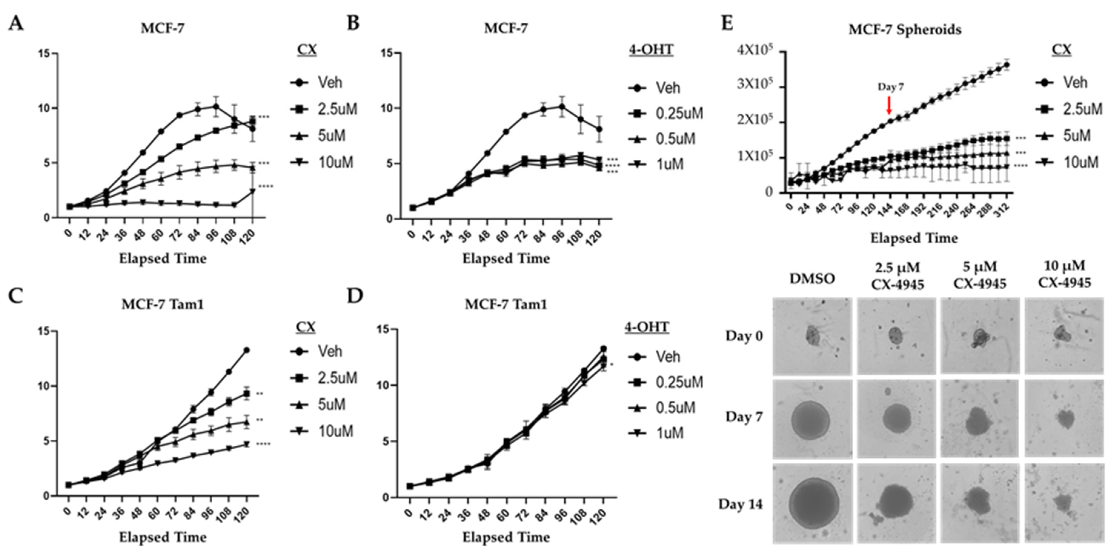 Cancers 16 02501 g001