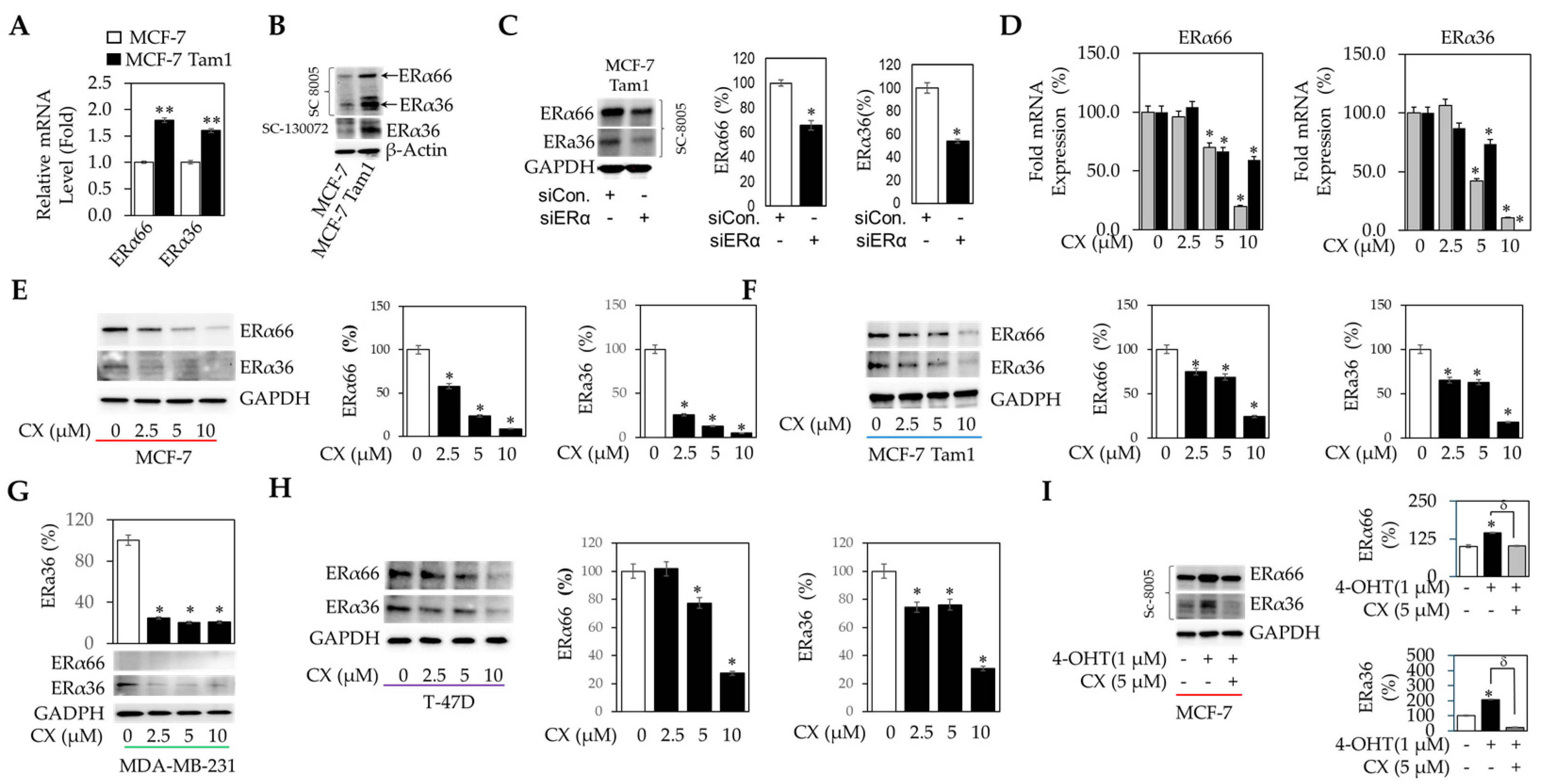 Cancers 16 02501 g002