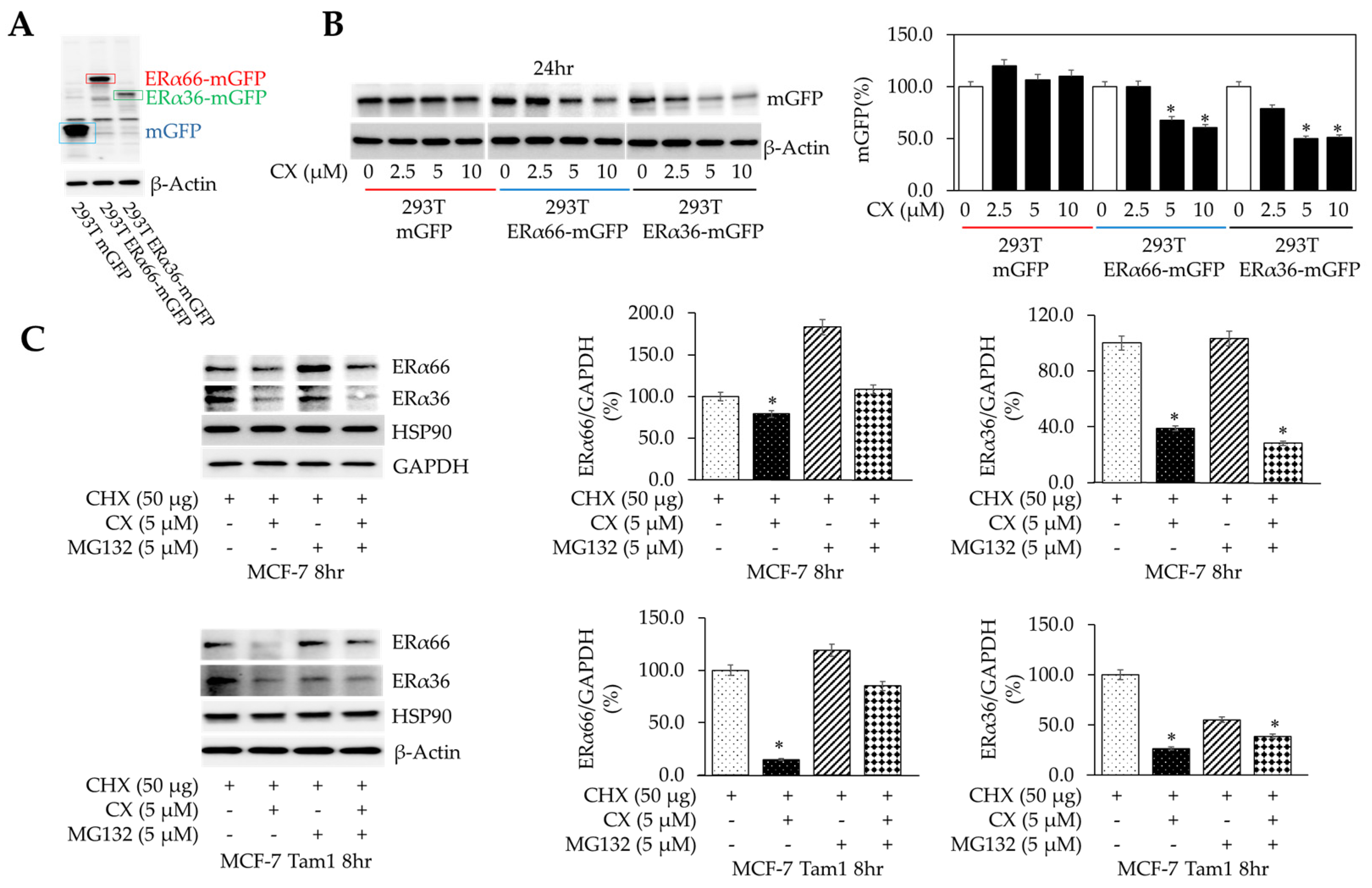 Cancers 16 02501 g003