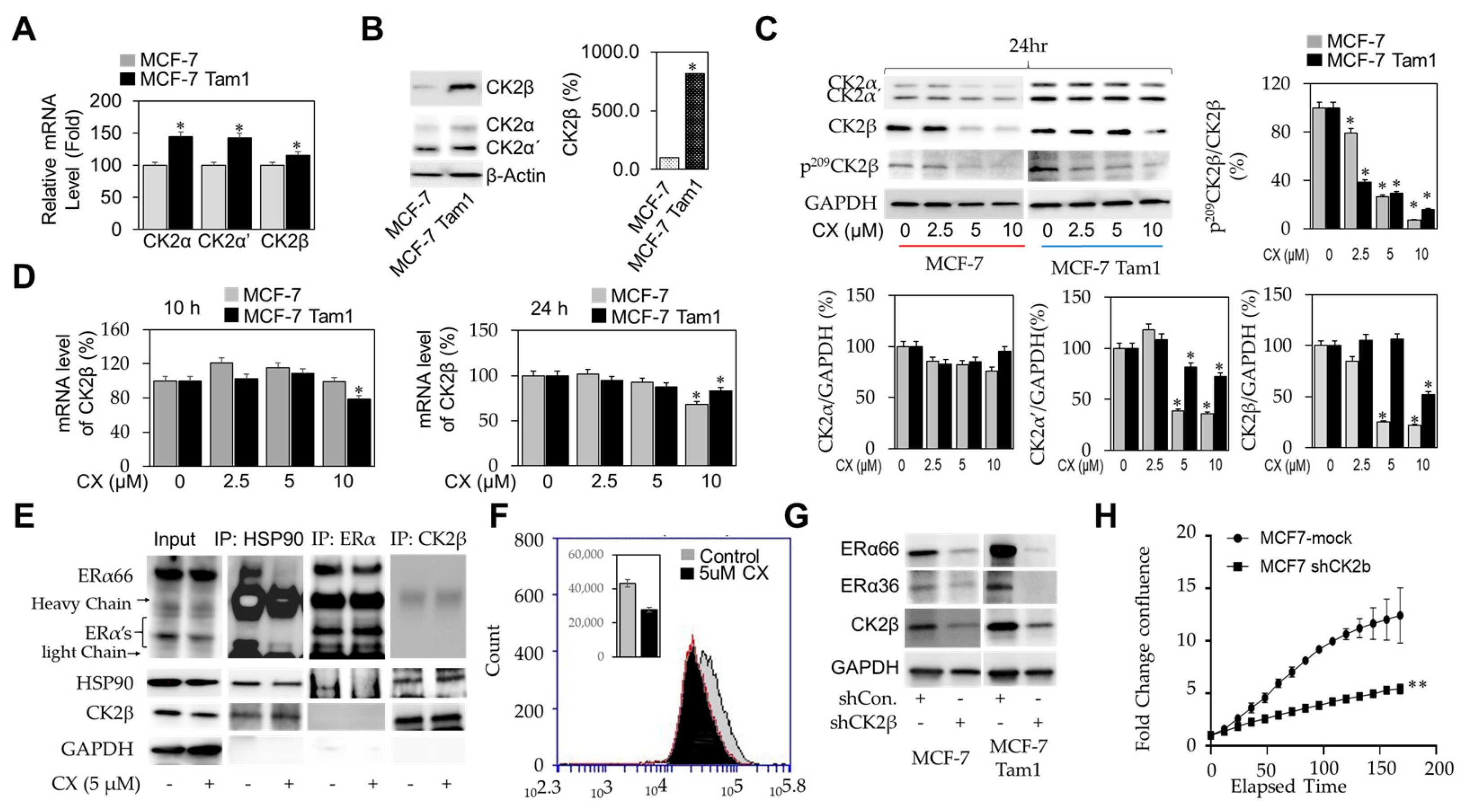 Cancers 16 02501 g004