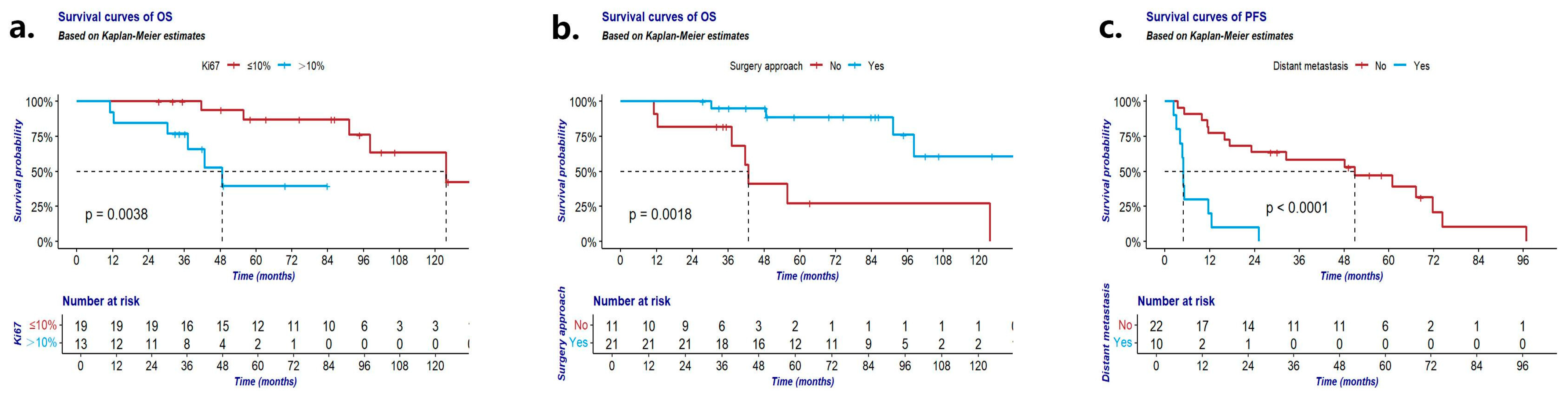 Cancers 16 02502 g002