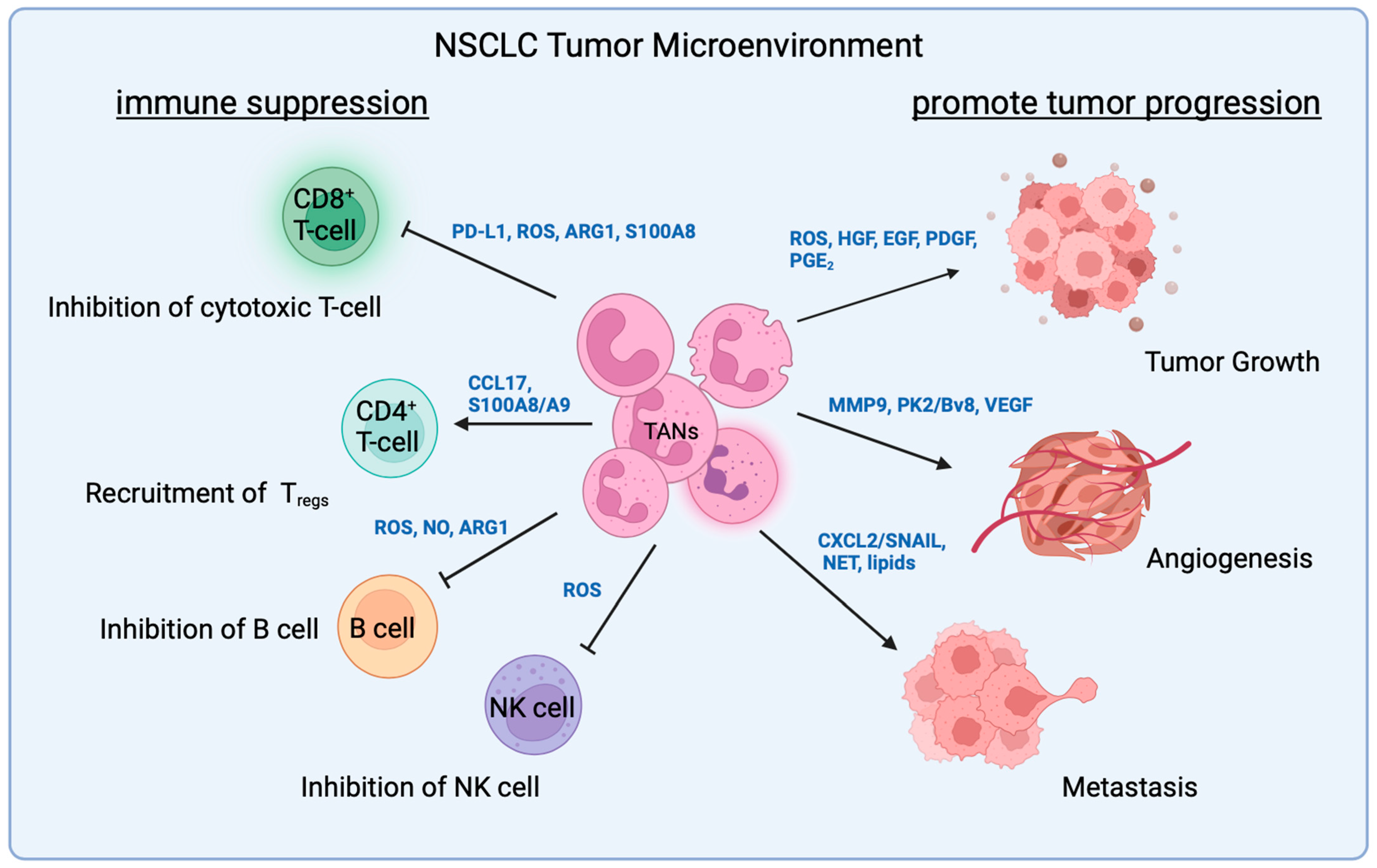 Cancers 16 02507 g001