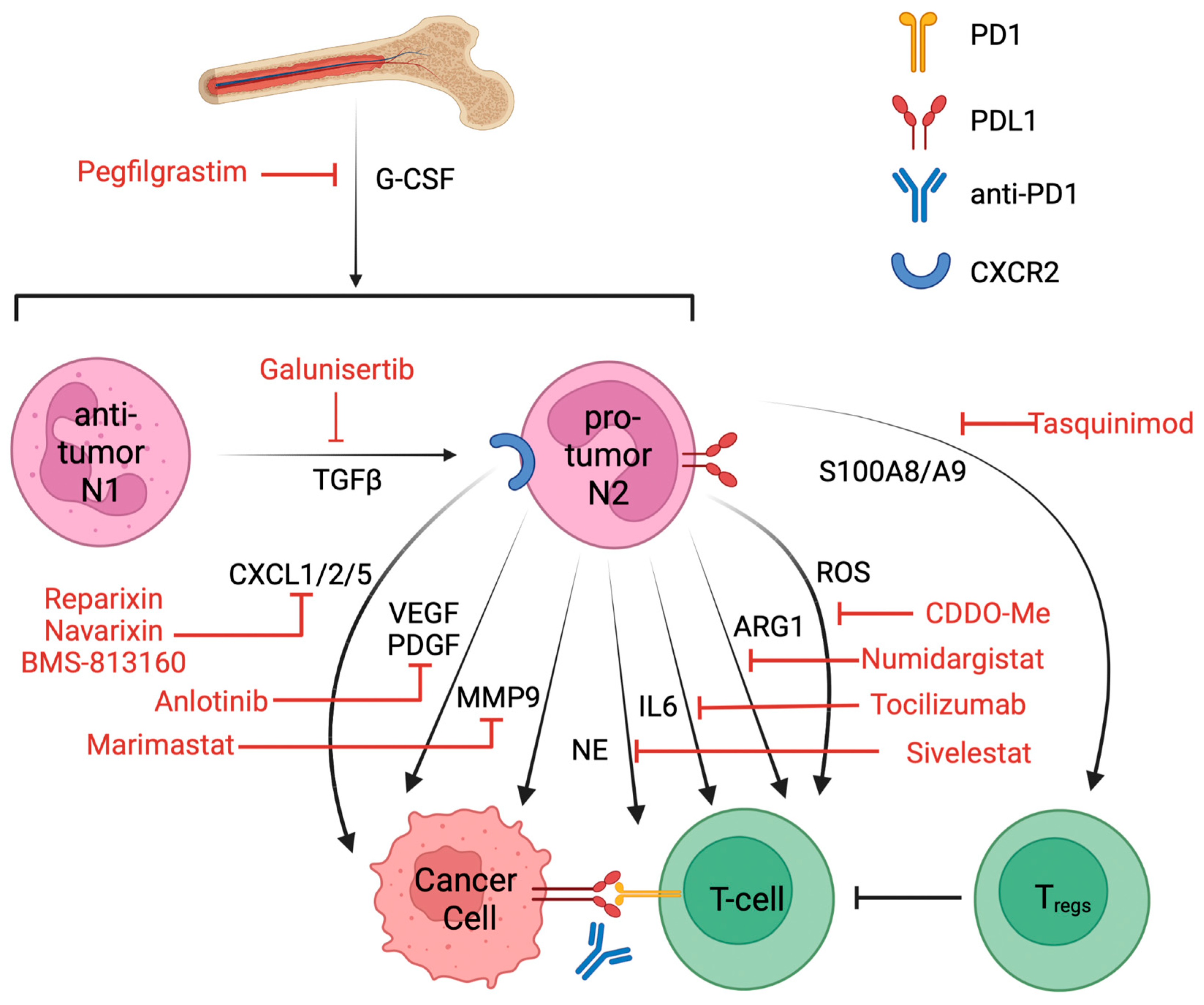 Cancers 16 02507 g002