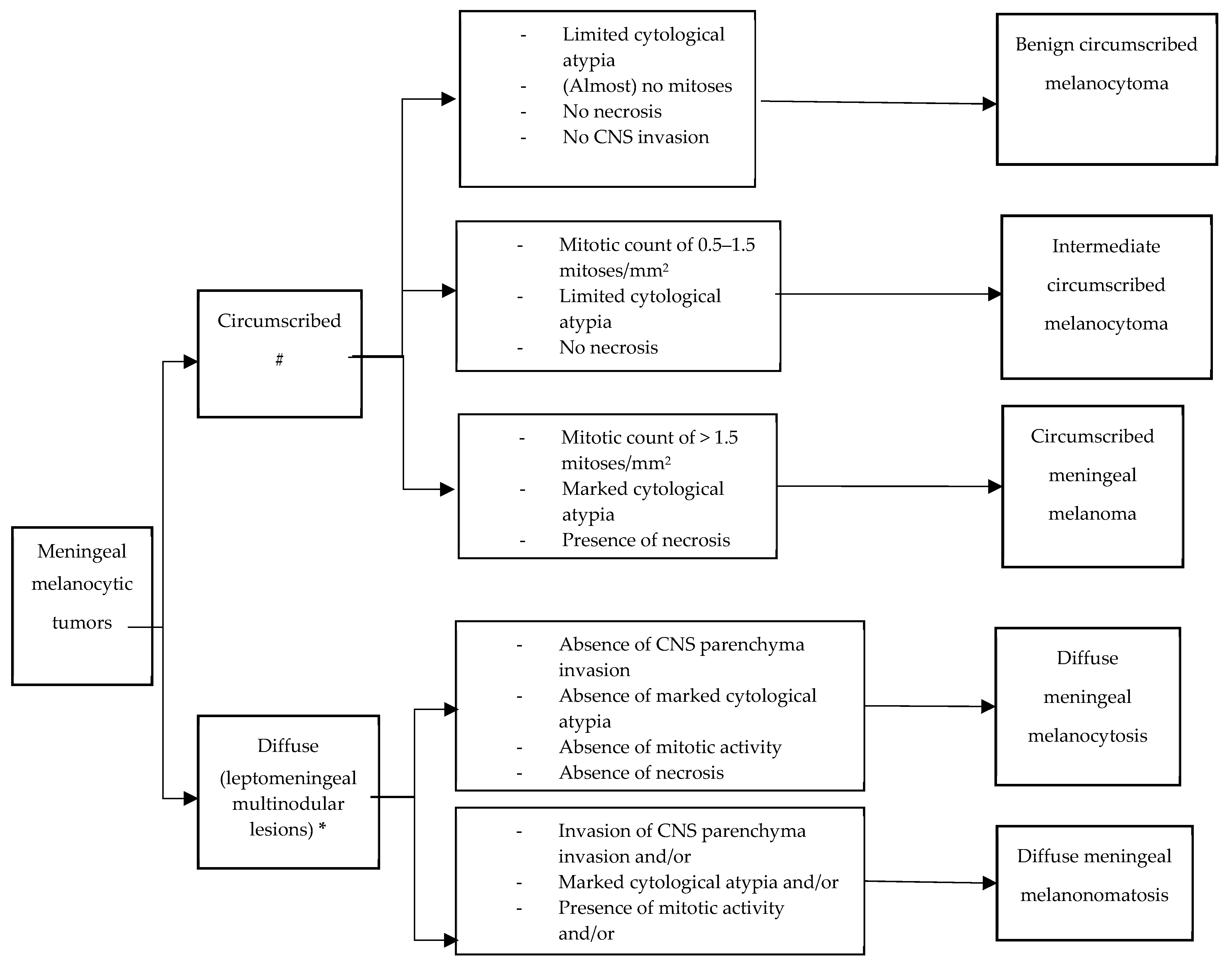 Cancers 16 02508 g001