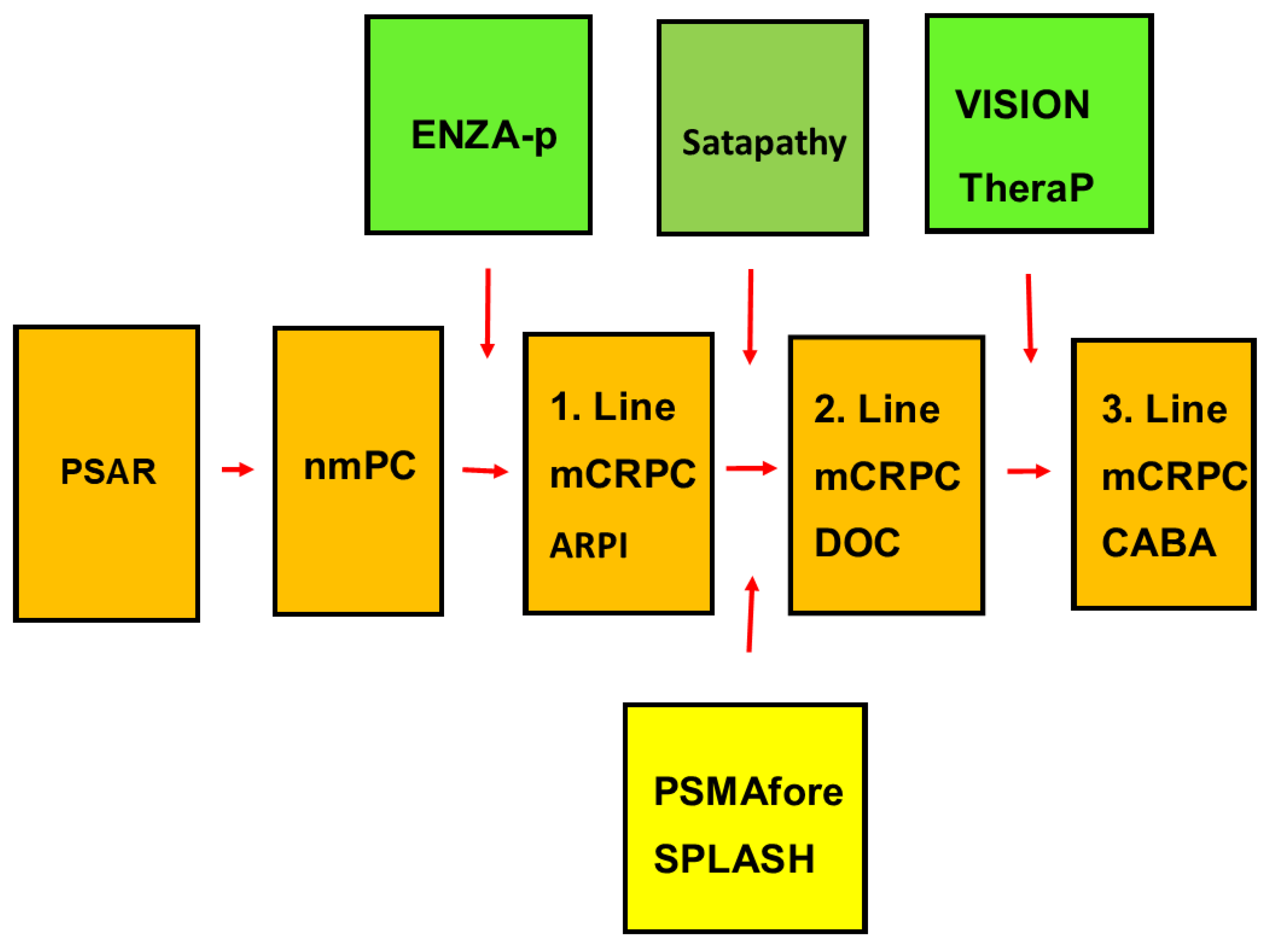 Cancers 16 02520 g001