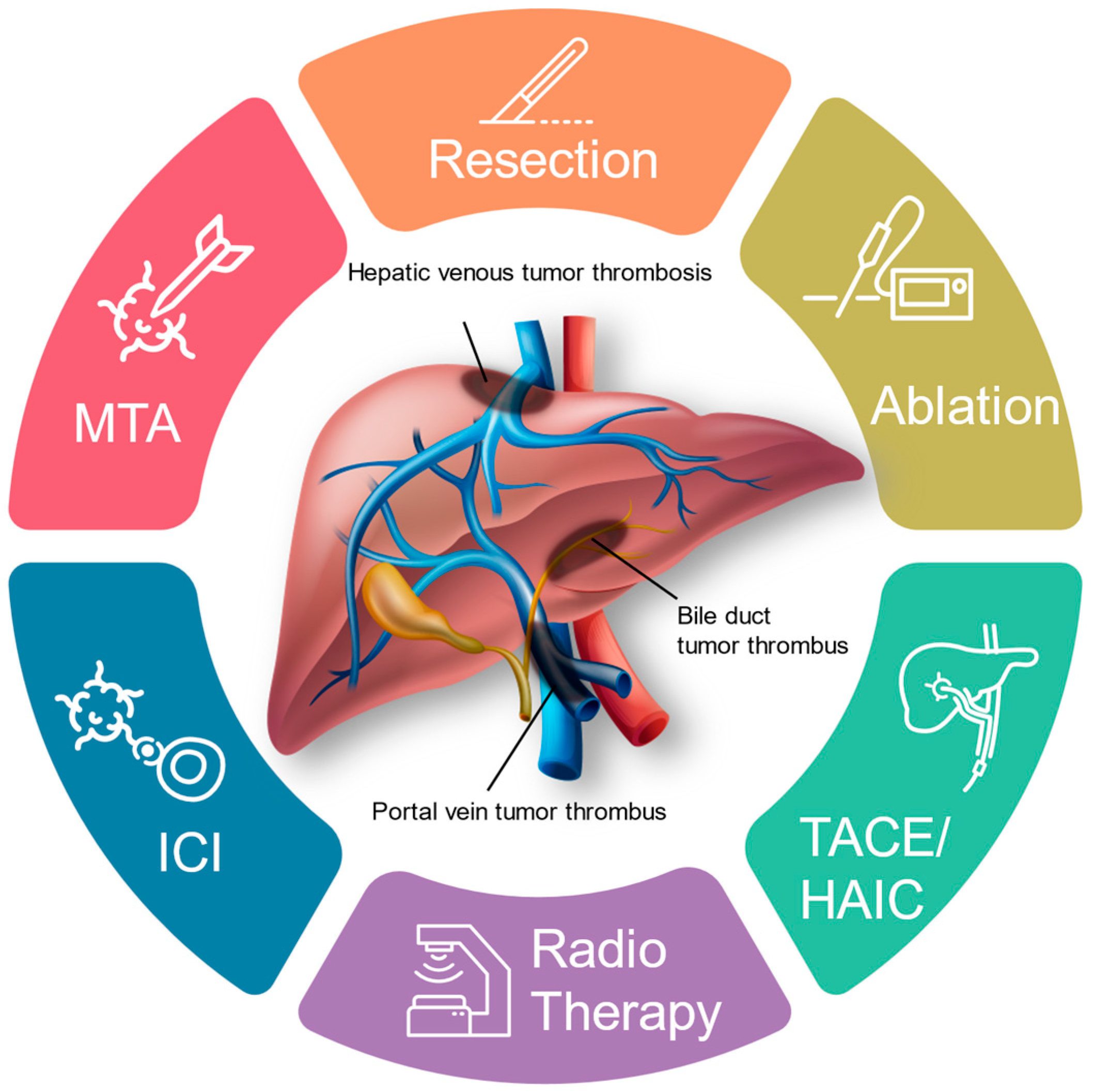 Cancers 16 02534 g001 Cancers 16 02534 g001