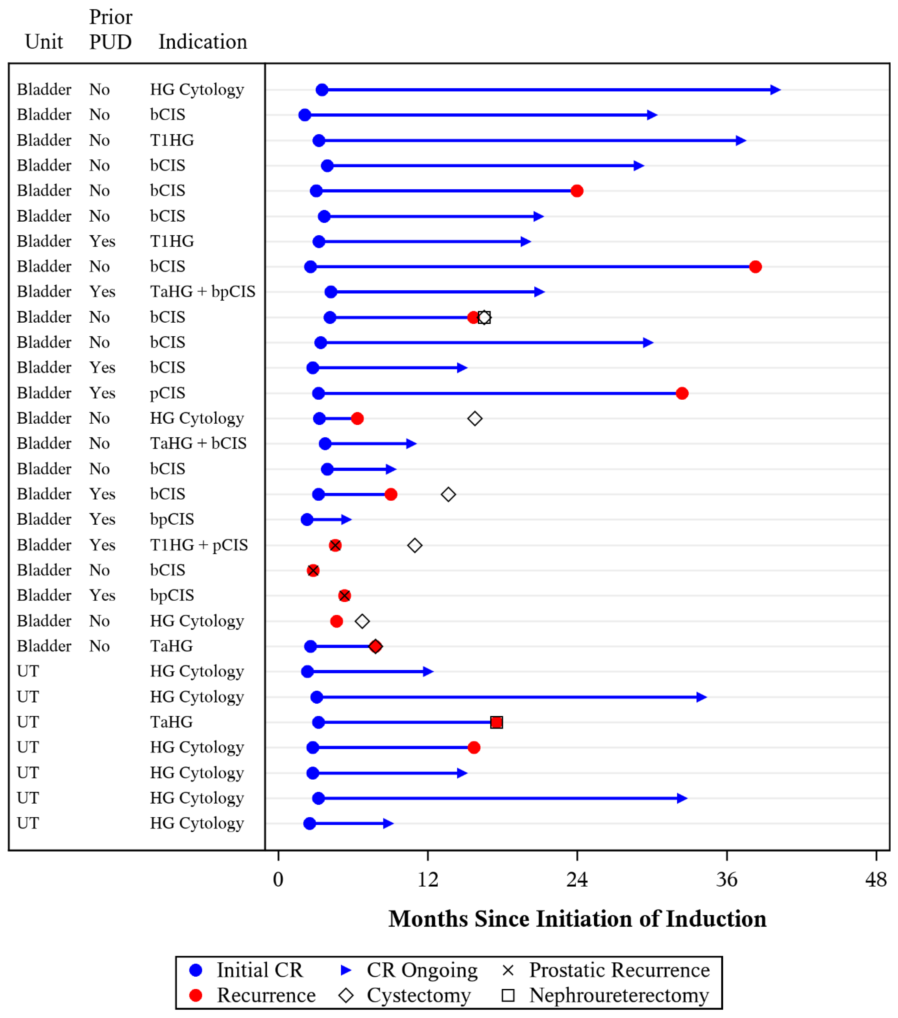 Cancers 16 02561 g001