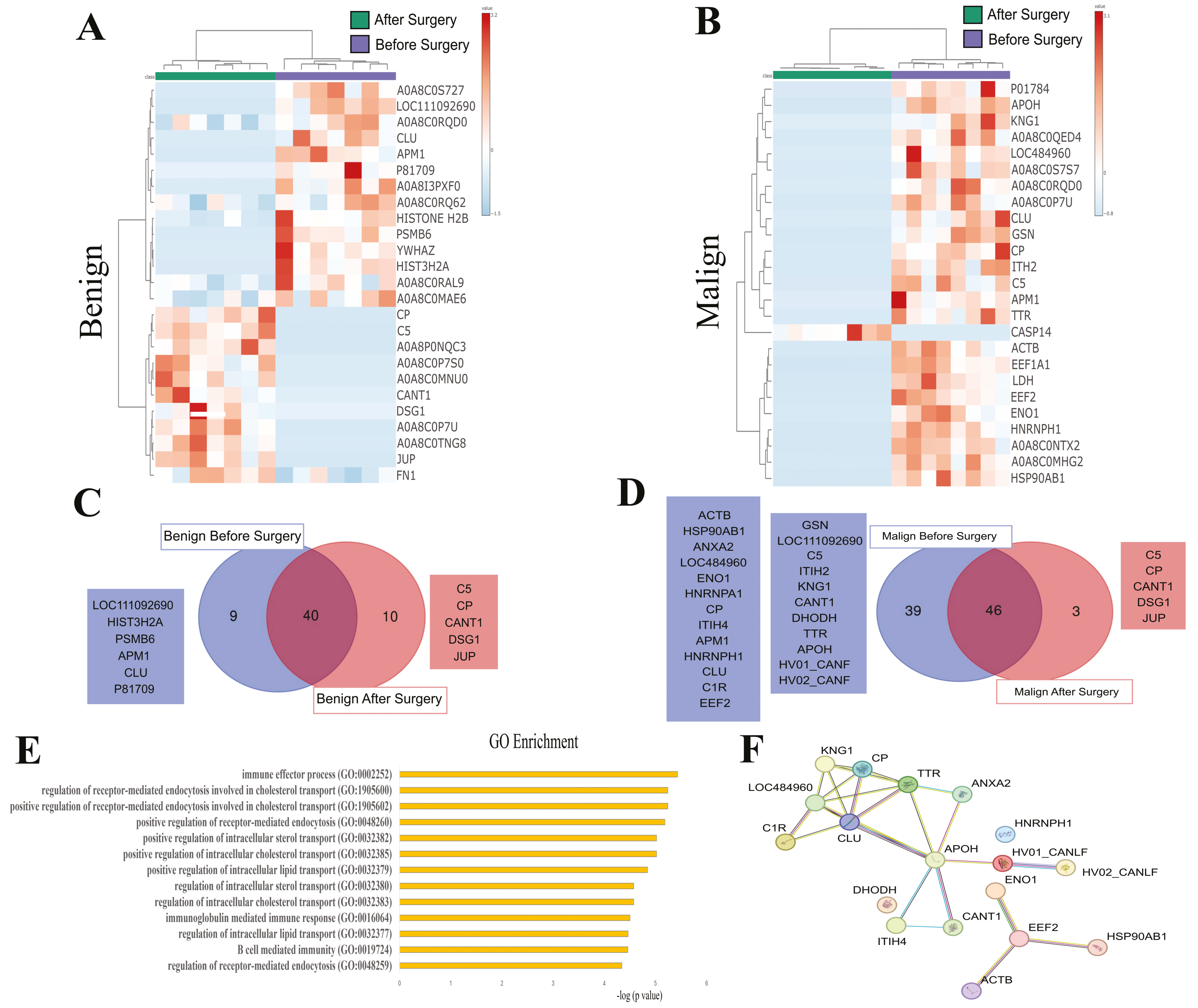Cancers 16 02562 g004