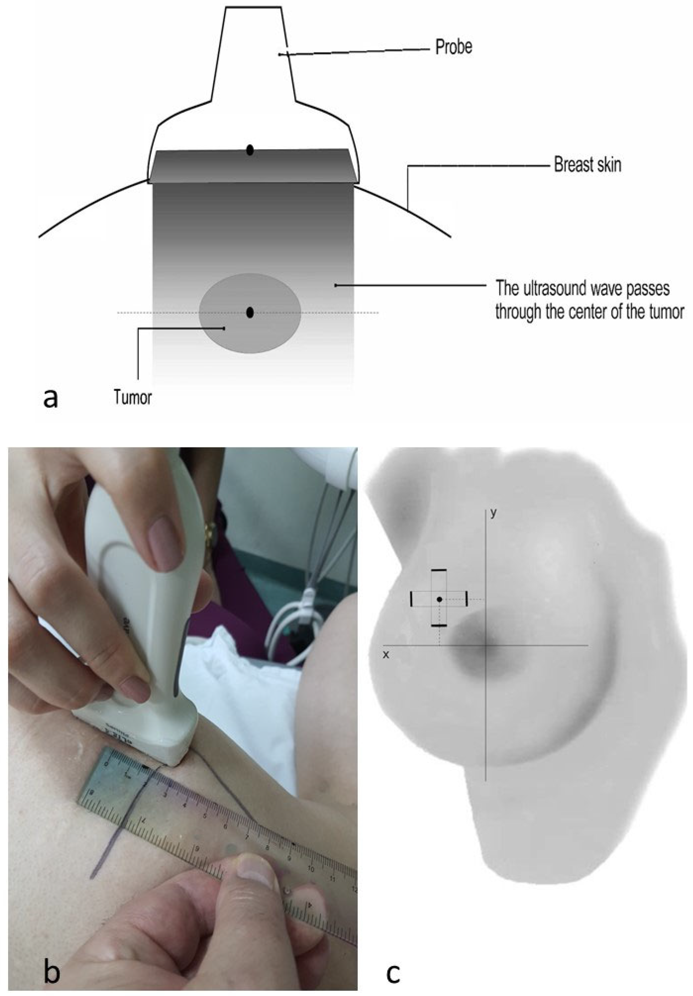 Cancers 16 02564 g002