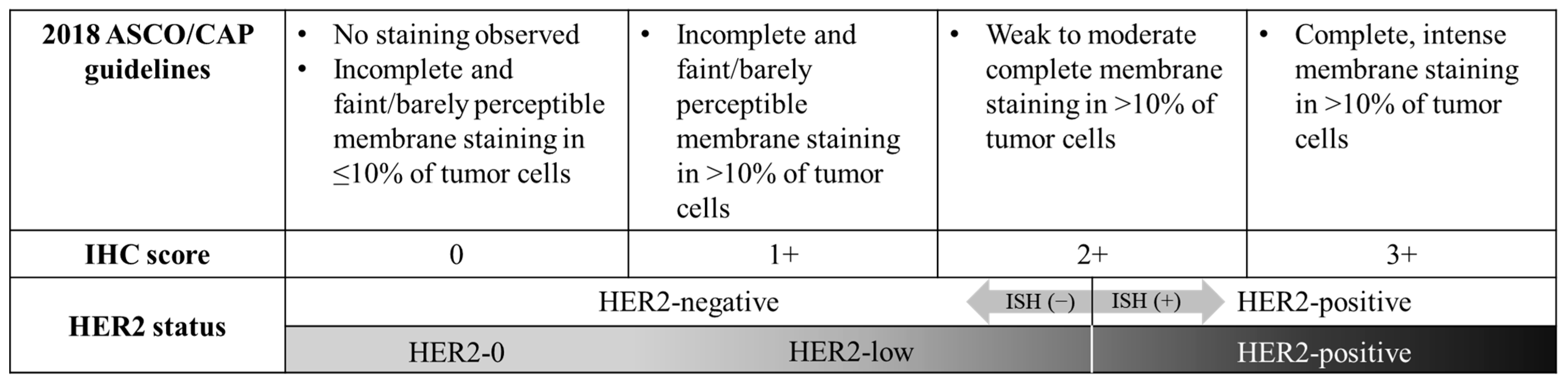 Cancers 16 02566 g001