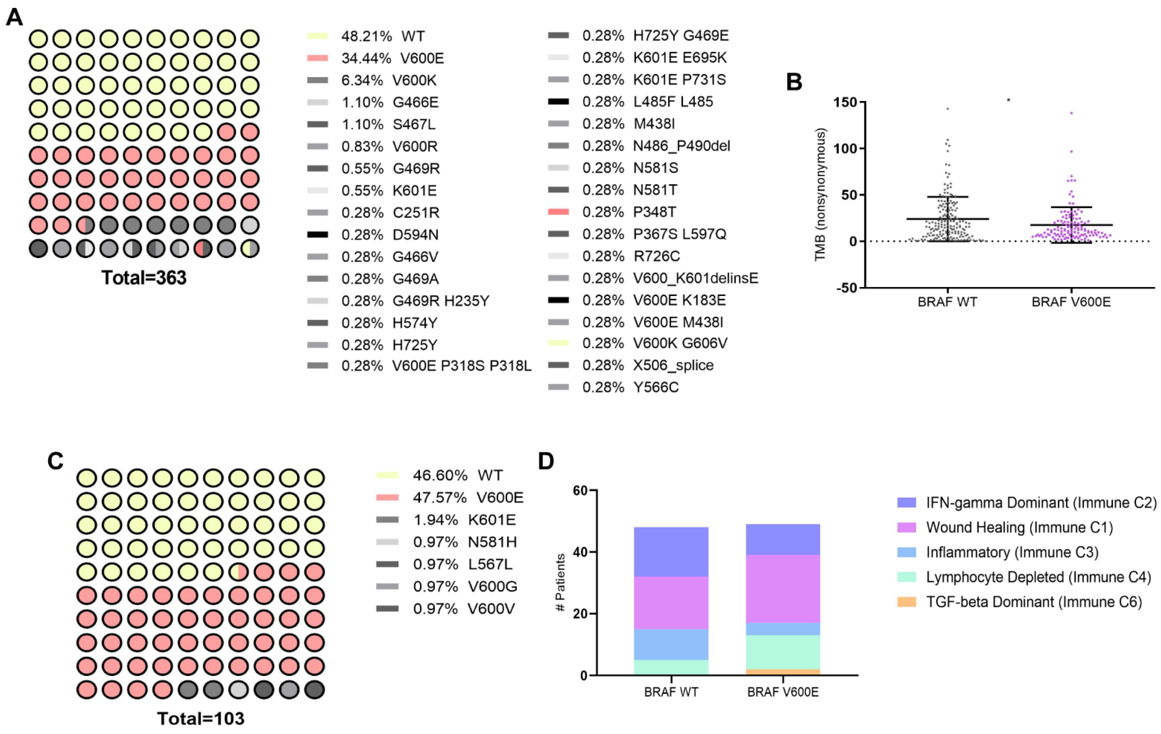 Cancers 16 02568 g001