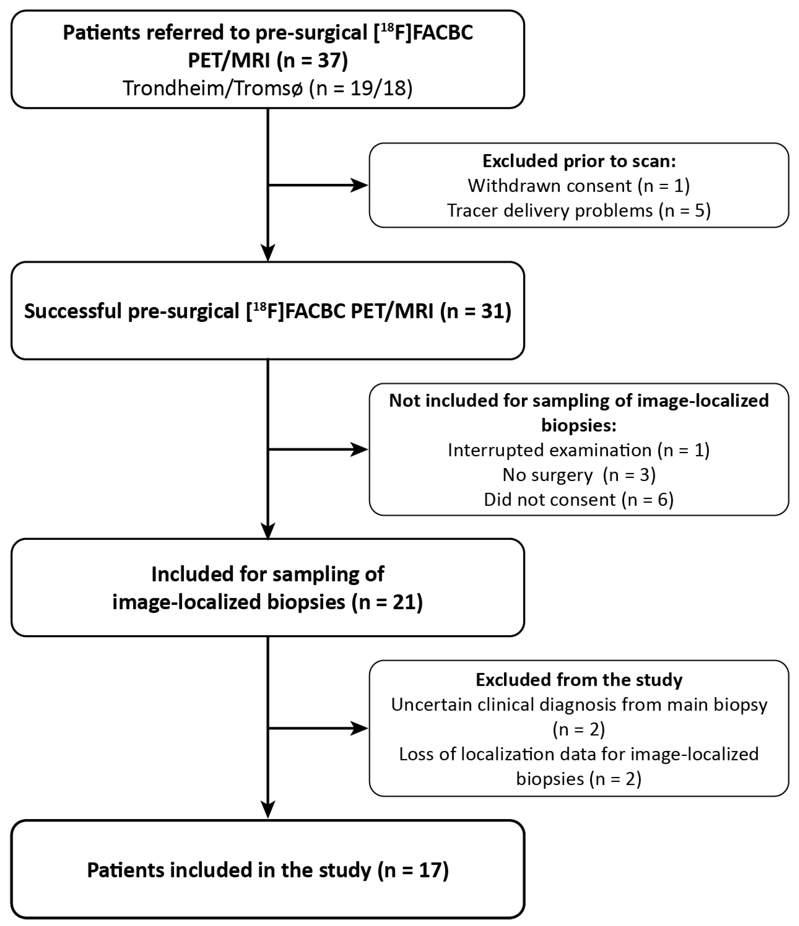 Cancers 16 02581 g001