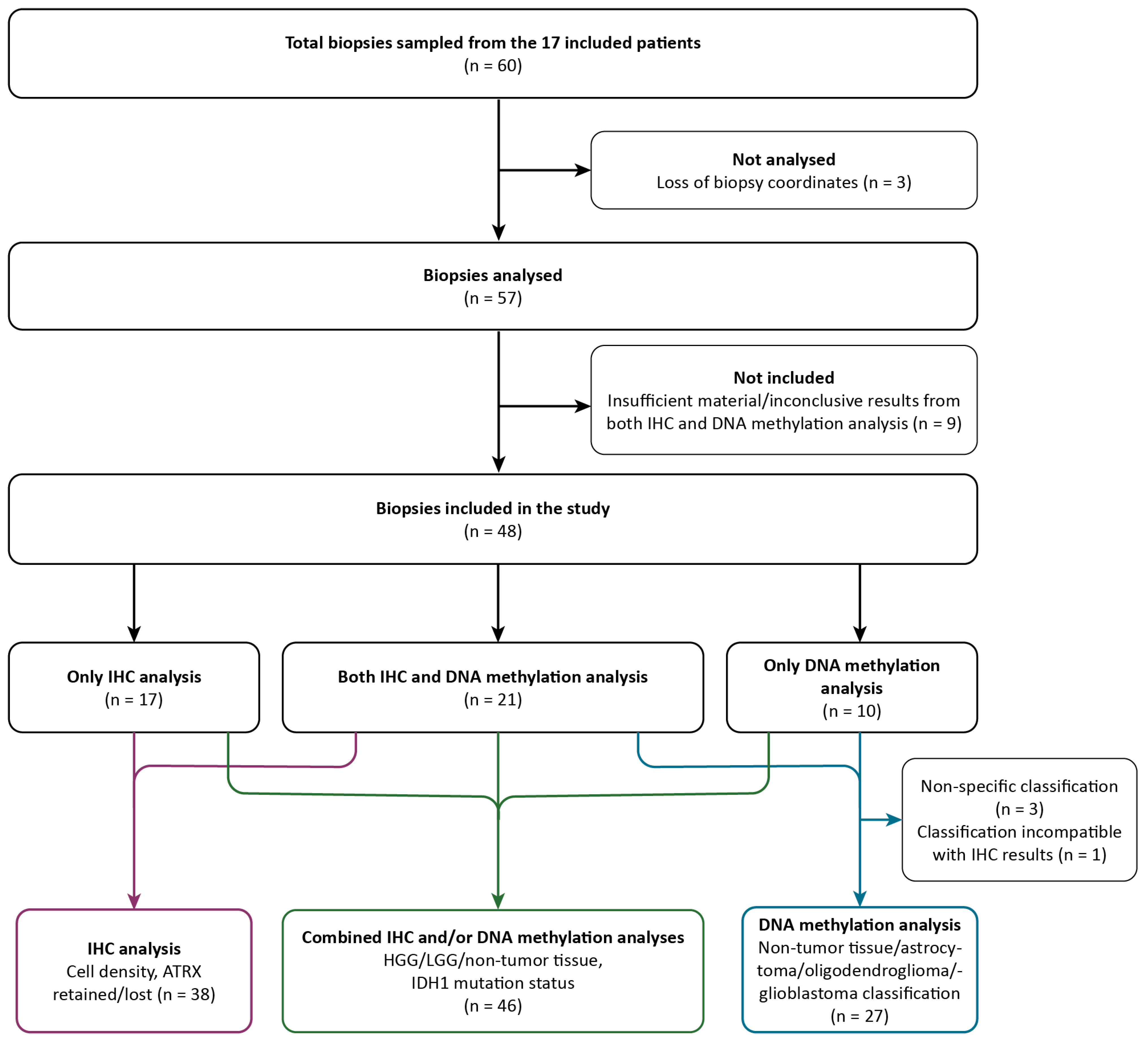 Cancers 16 02581 g002