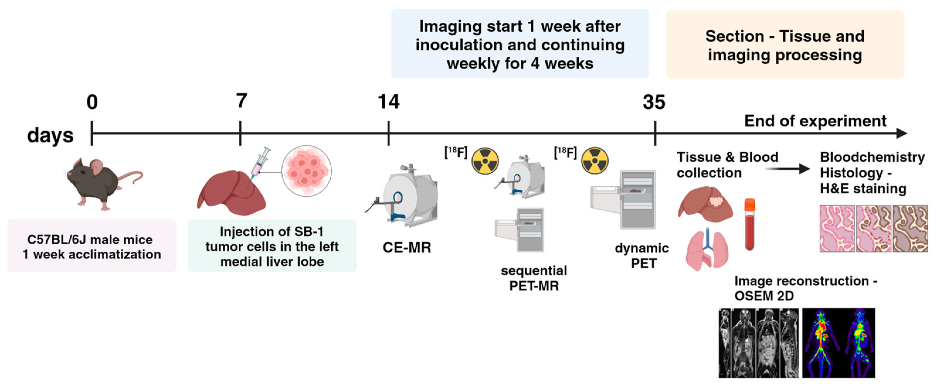 Cancers 16 02591 g001