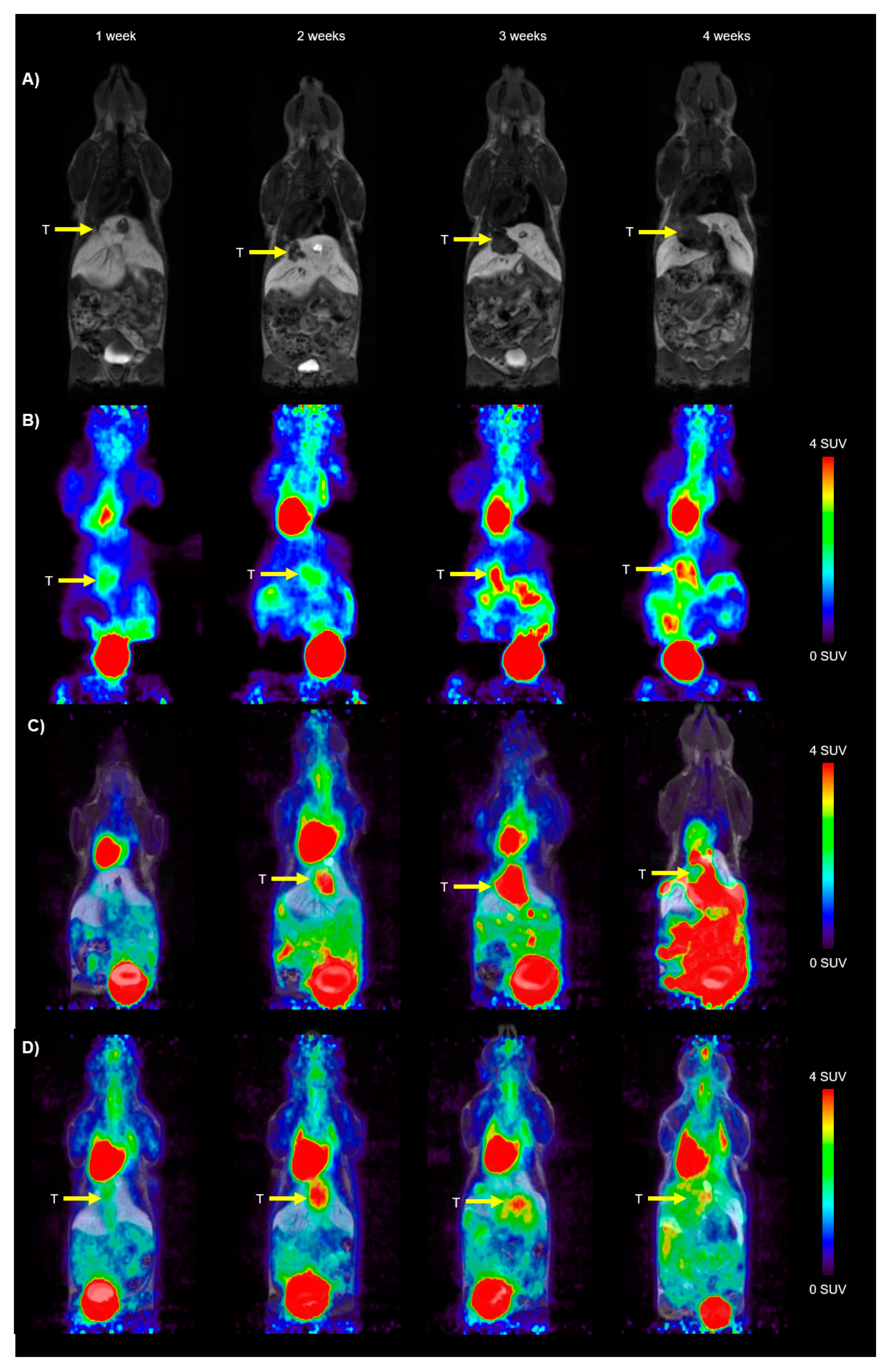 Cancers 16 02591 g002