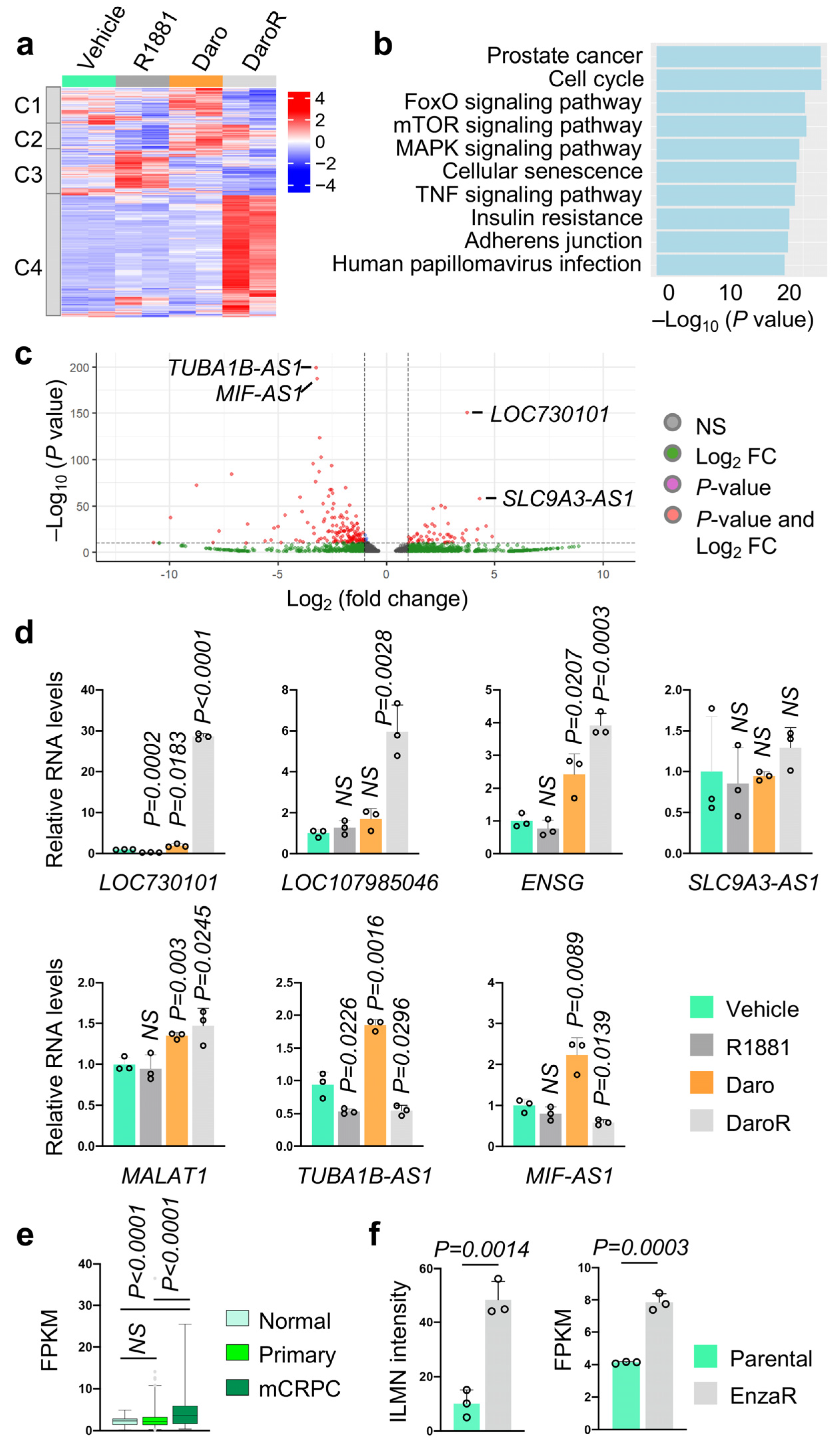 Cancers 16 02594 g001