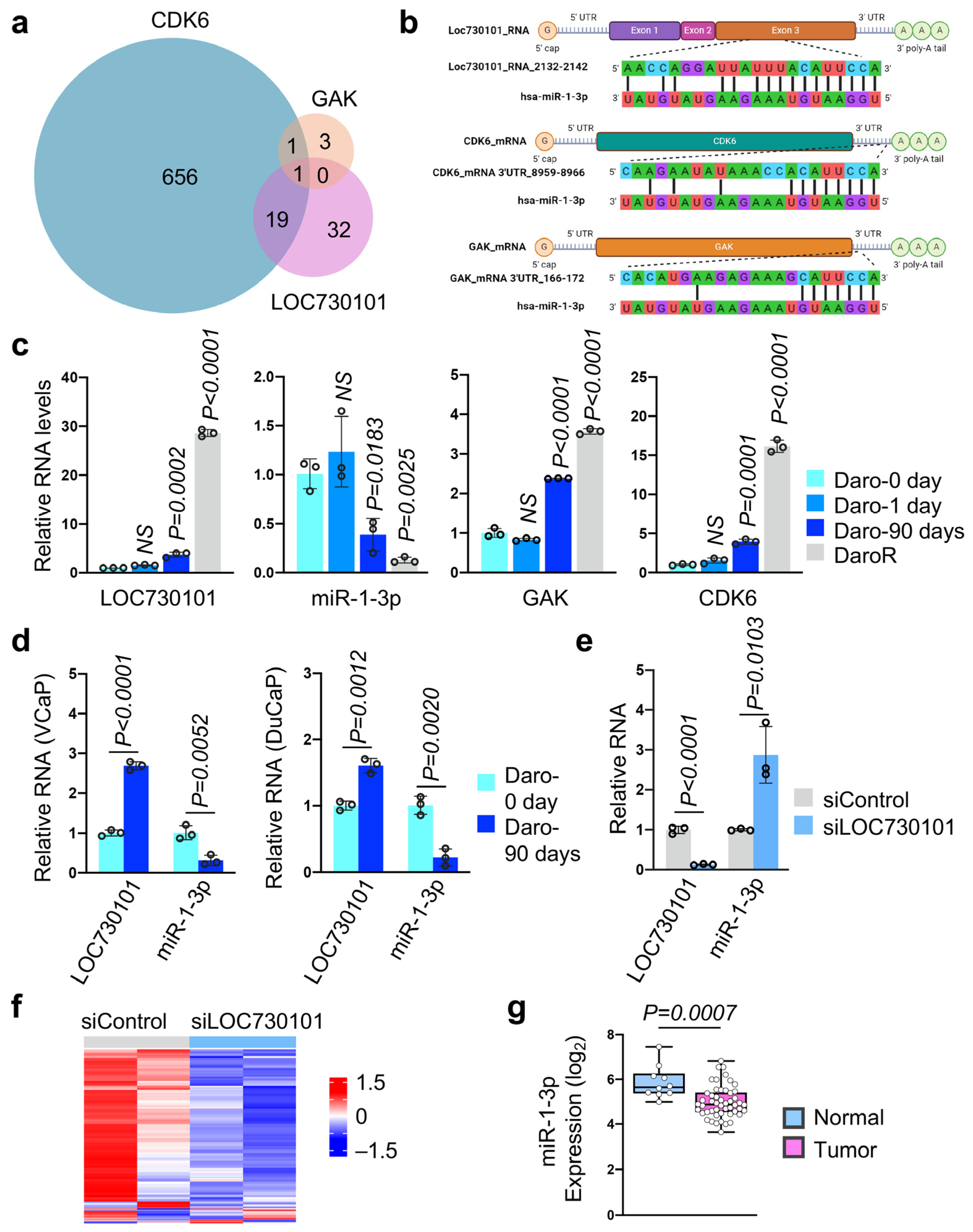 Cancers 16 02594 g003