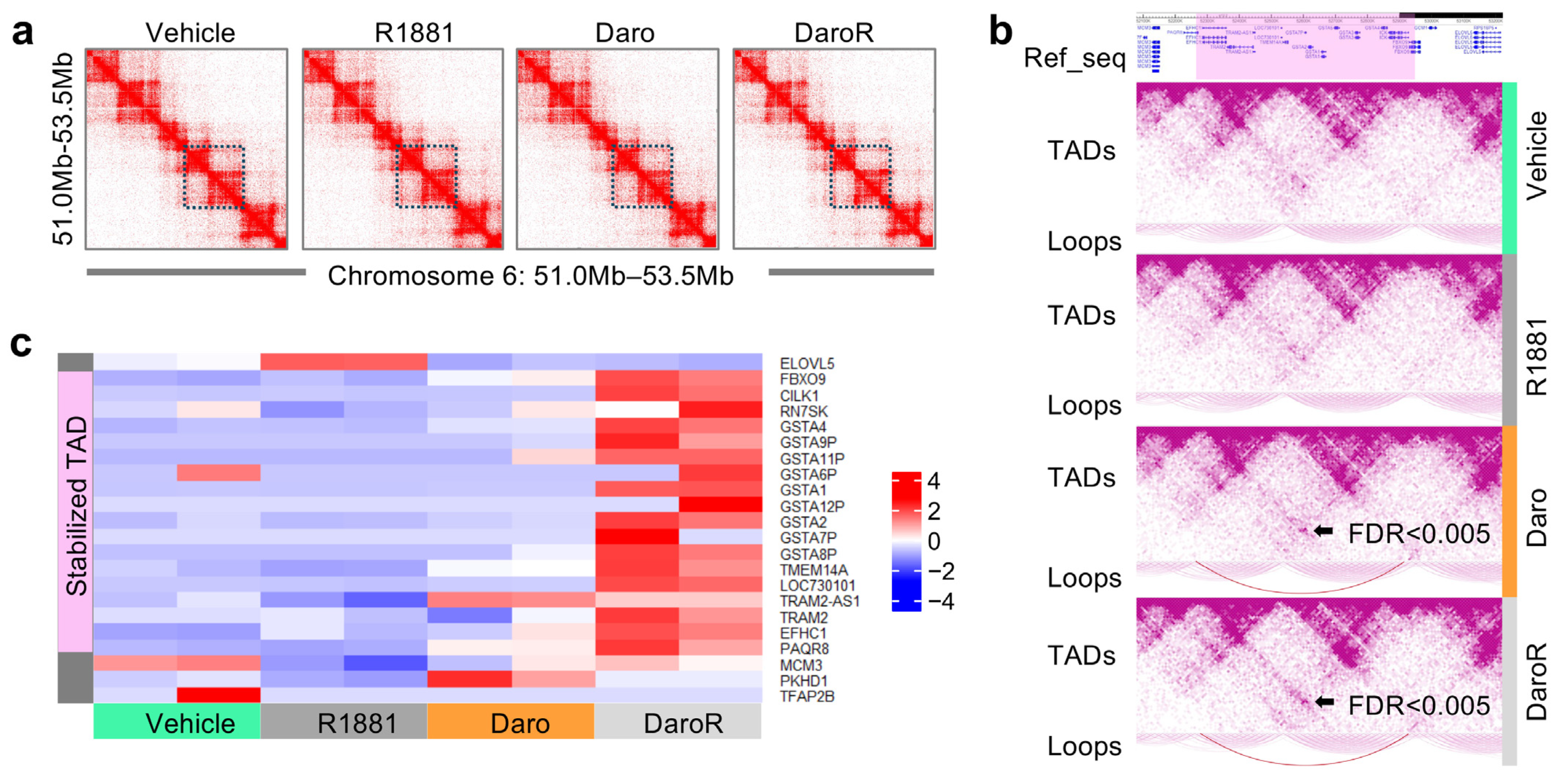 Cancers 16 02594 g005