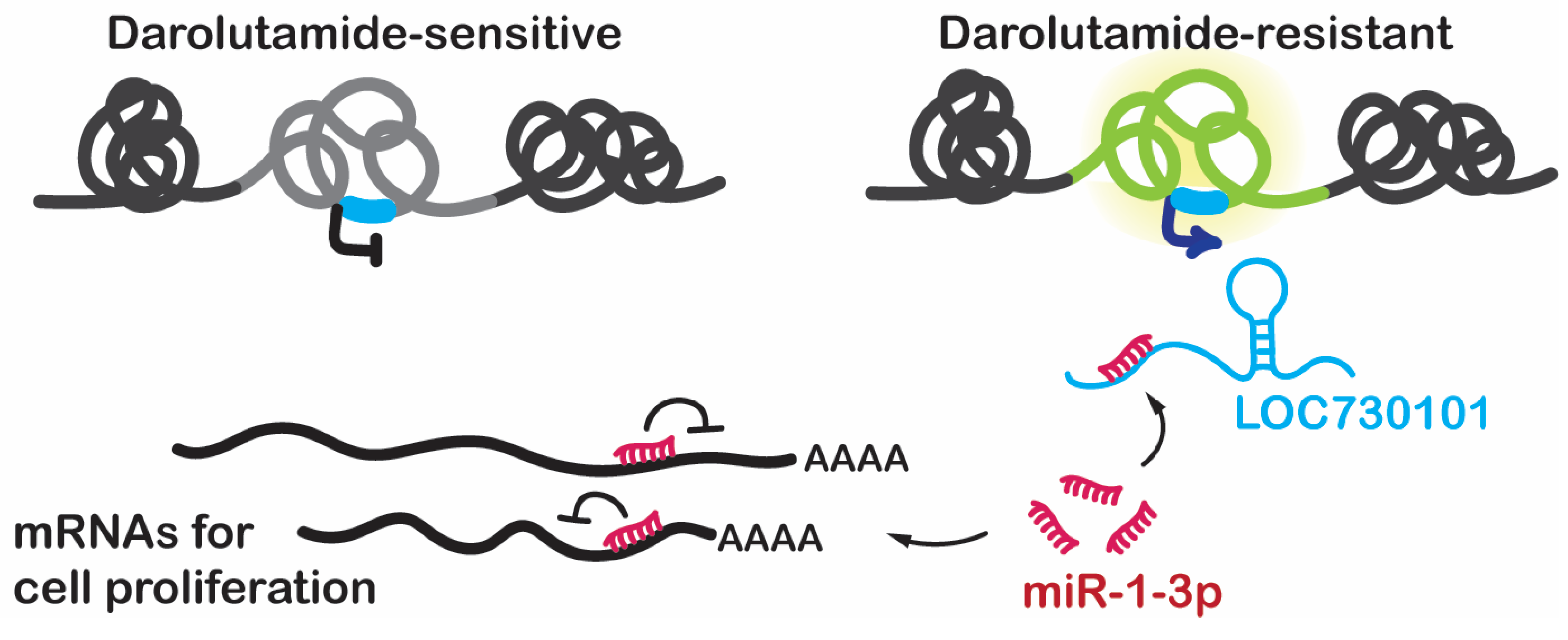 Cancers 16 02594 g006