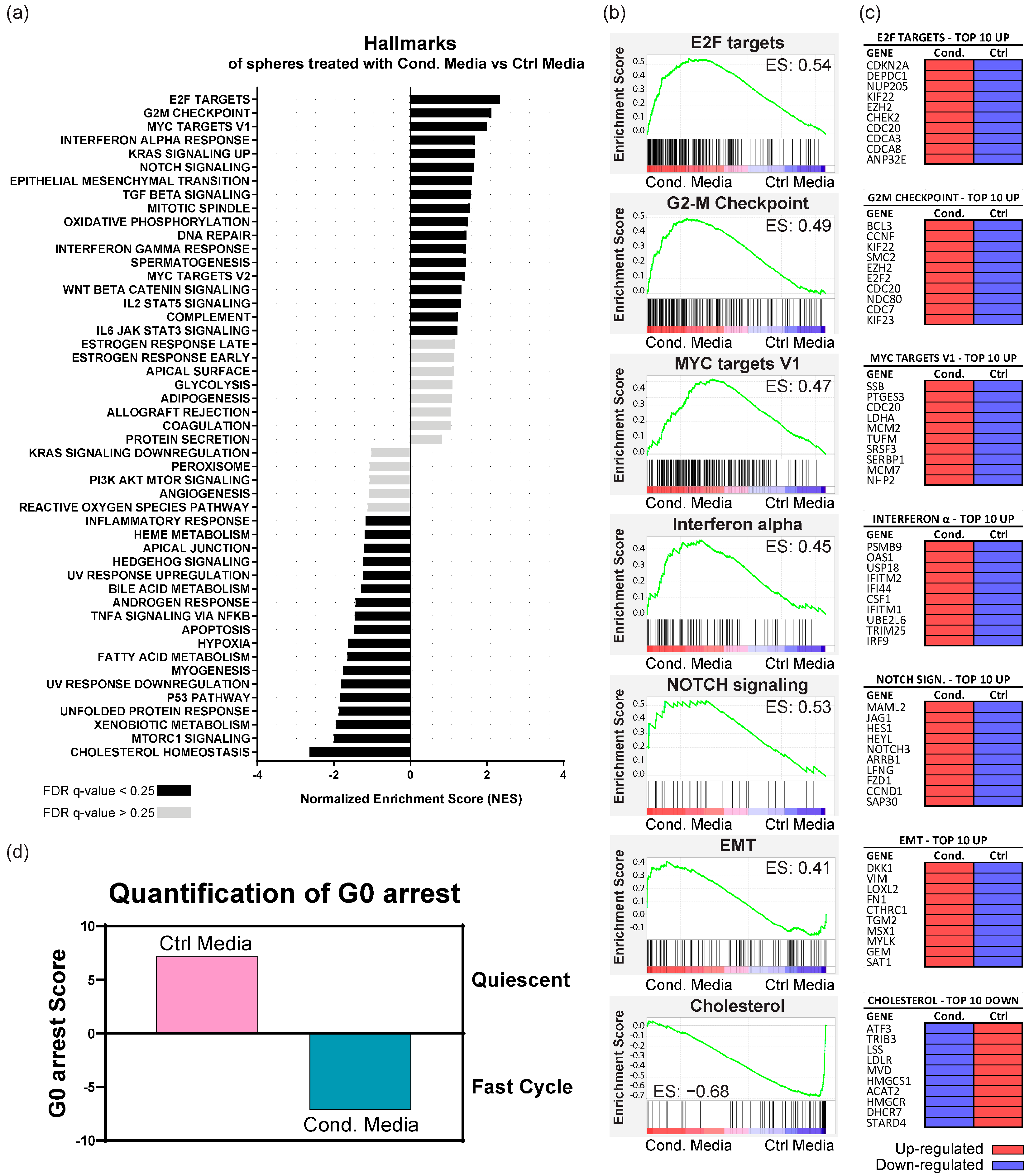 Cancers 16 02595 g005