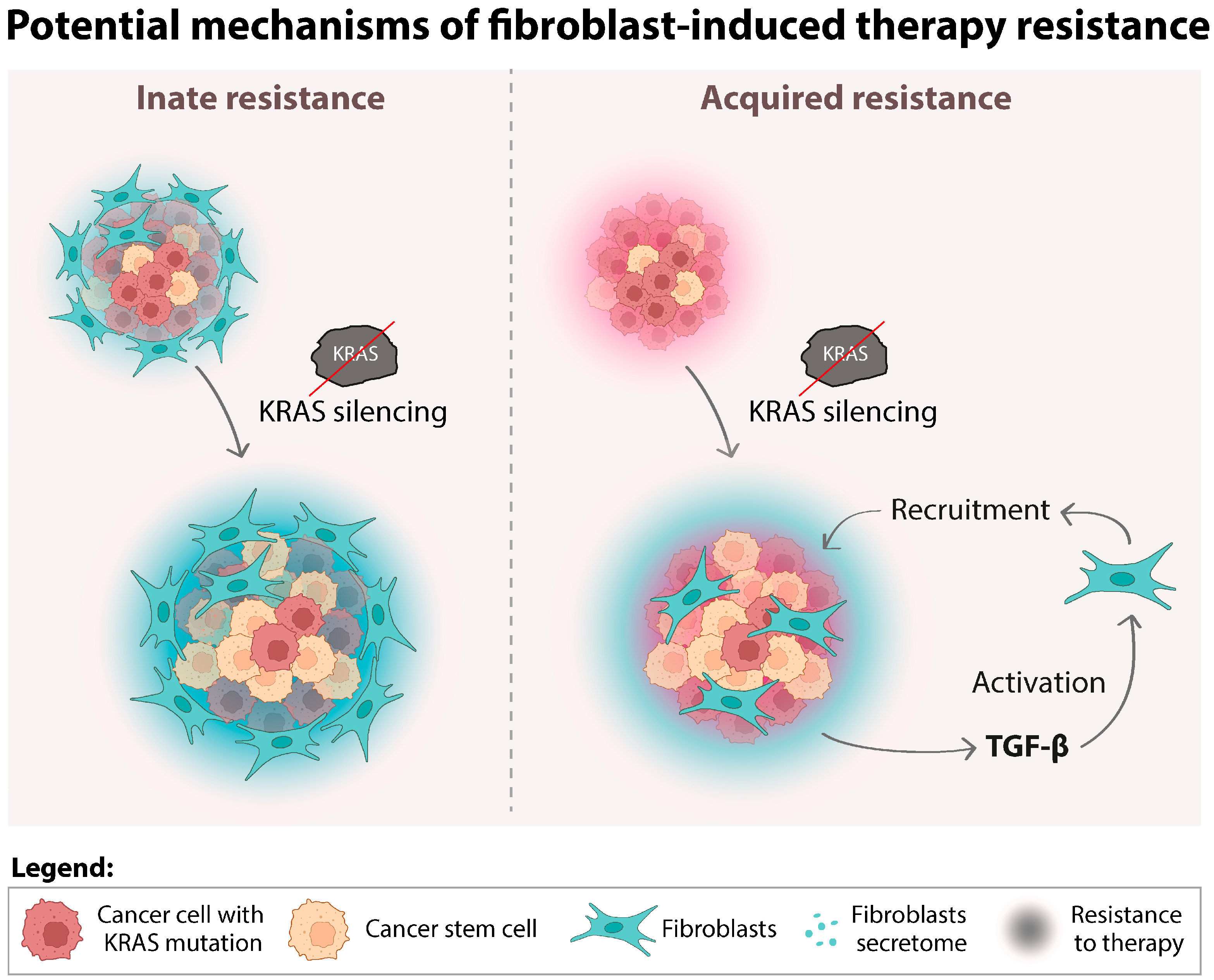 Cancers 16 02595 g006