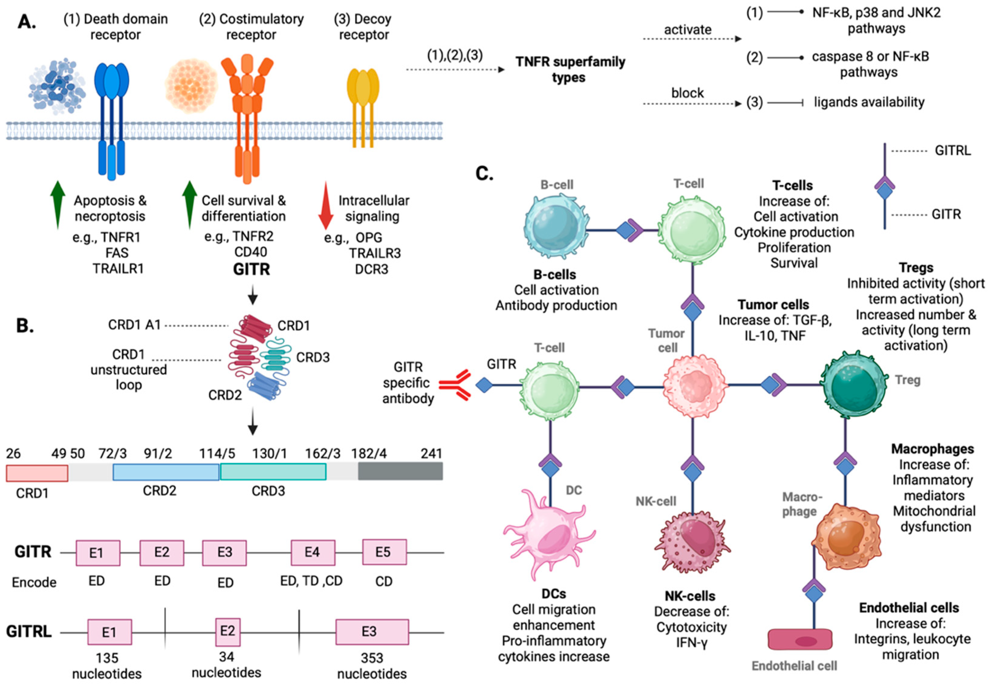 Cancers 16 02609 g001 Cancers 16 02609 g001