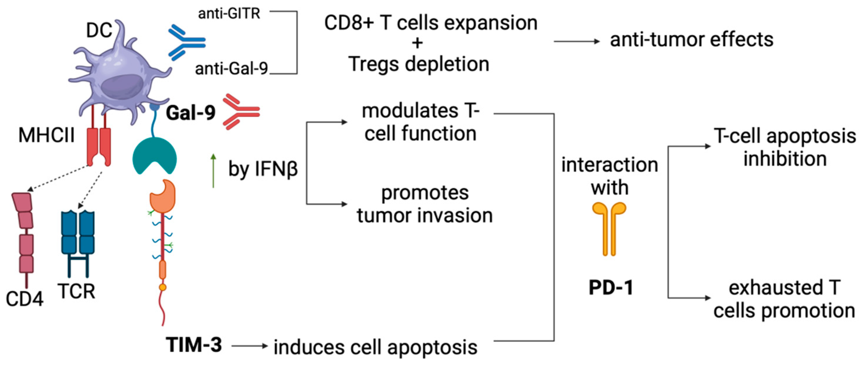 Cancers 16 02609 g003 Cancers 16 02609 g003