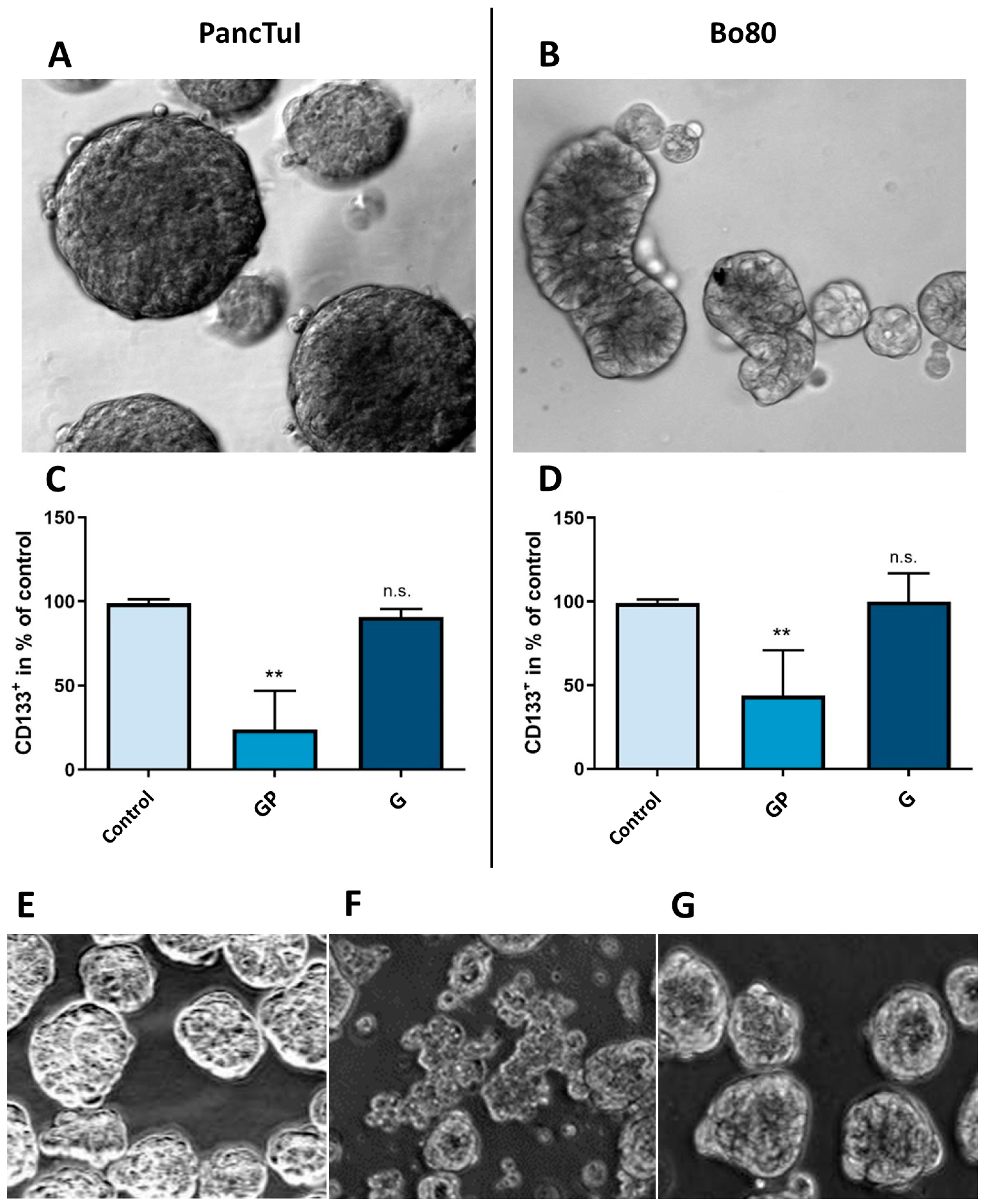 Cancers 16 02612 g007