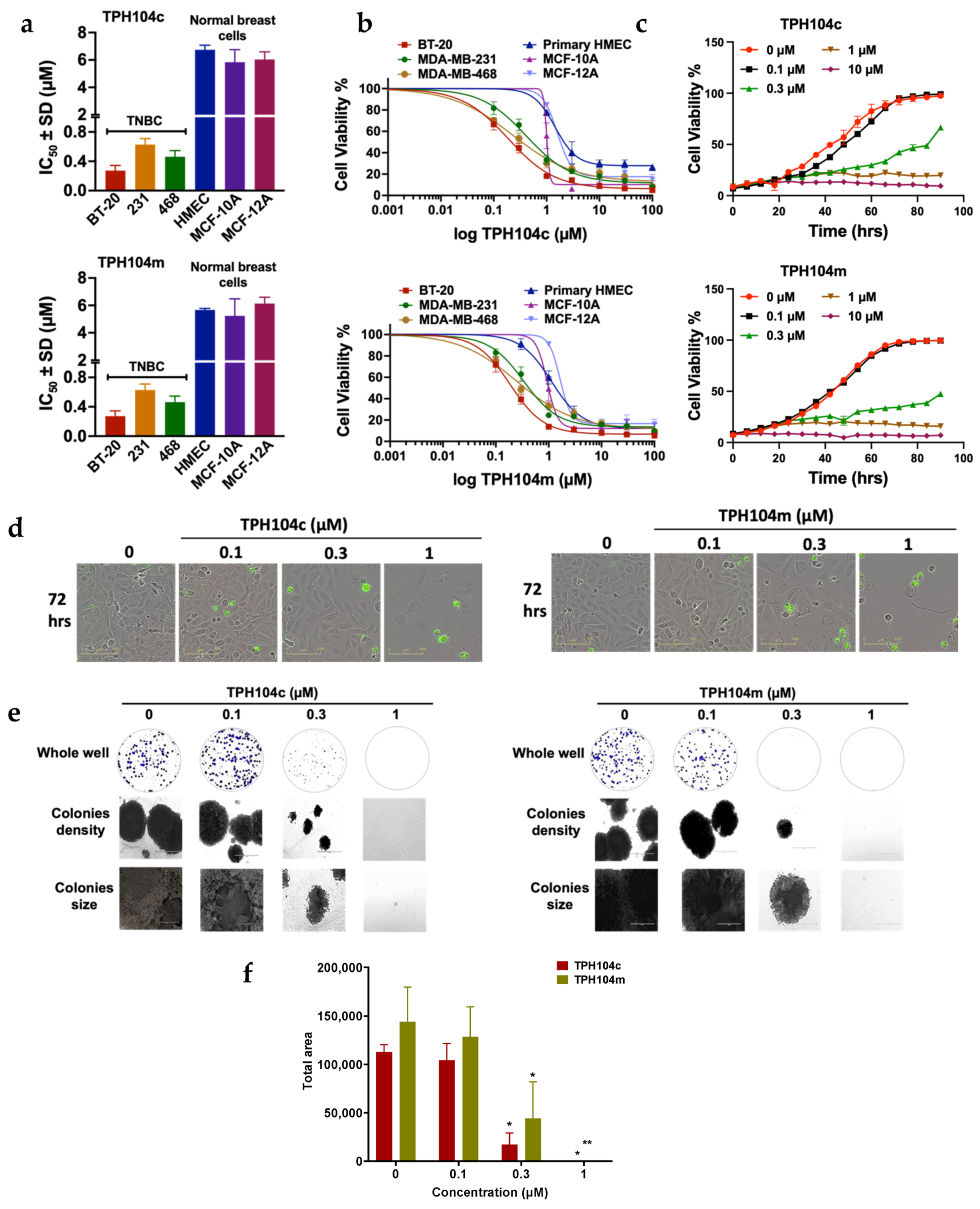 Cancers 16 02621 g001 Cancers 16 02621 g001