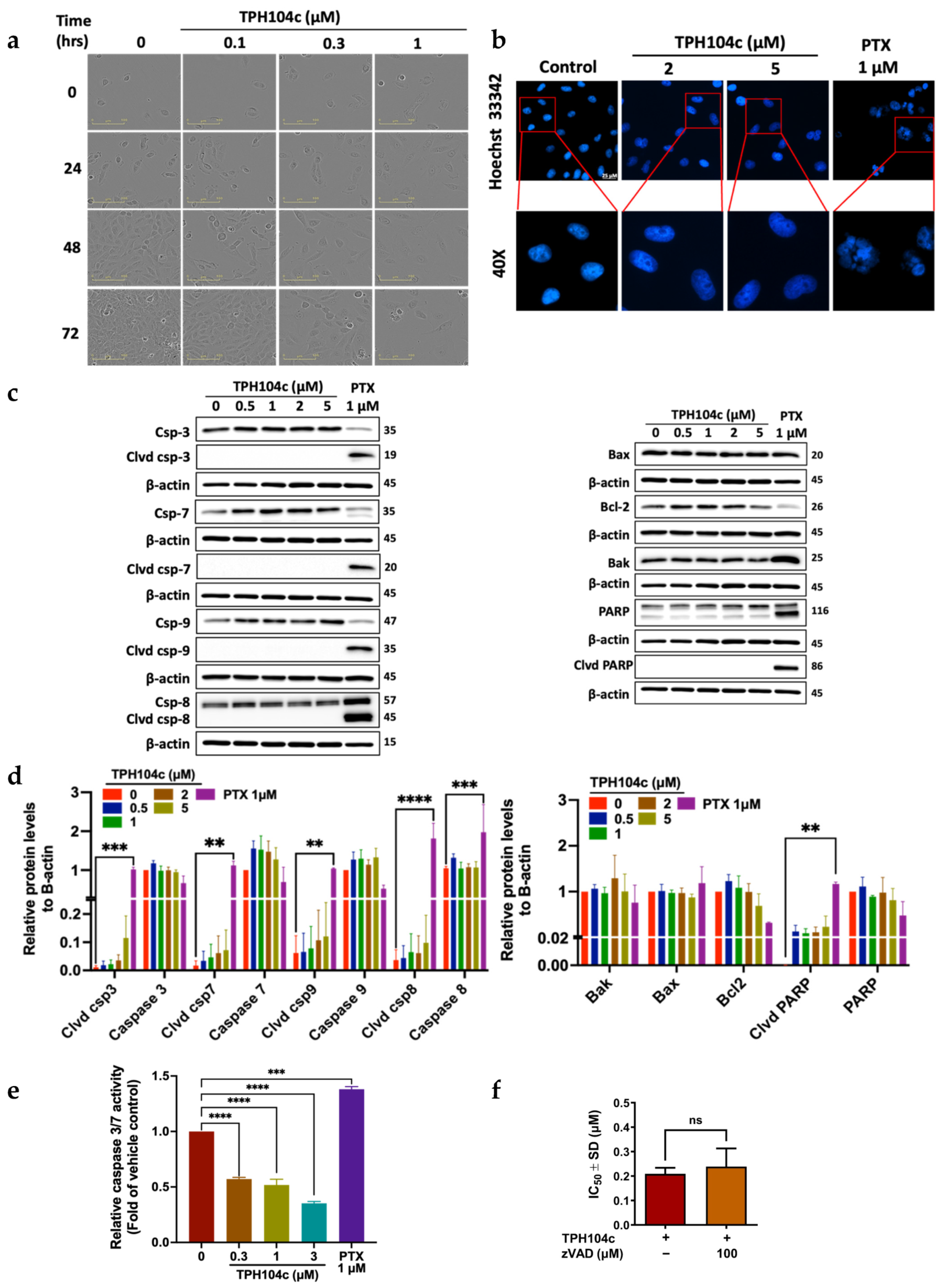 Cancers 16 02621 g003 Cancers 16 02621 g003