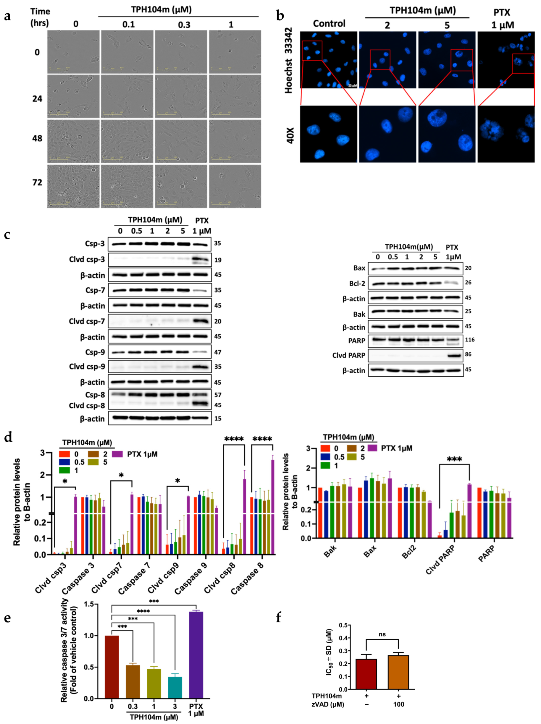 Cancers 16 02621 g004 Cancers 16 02621 g004